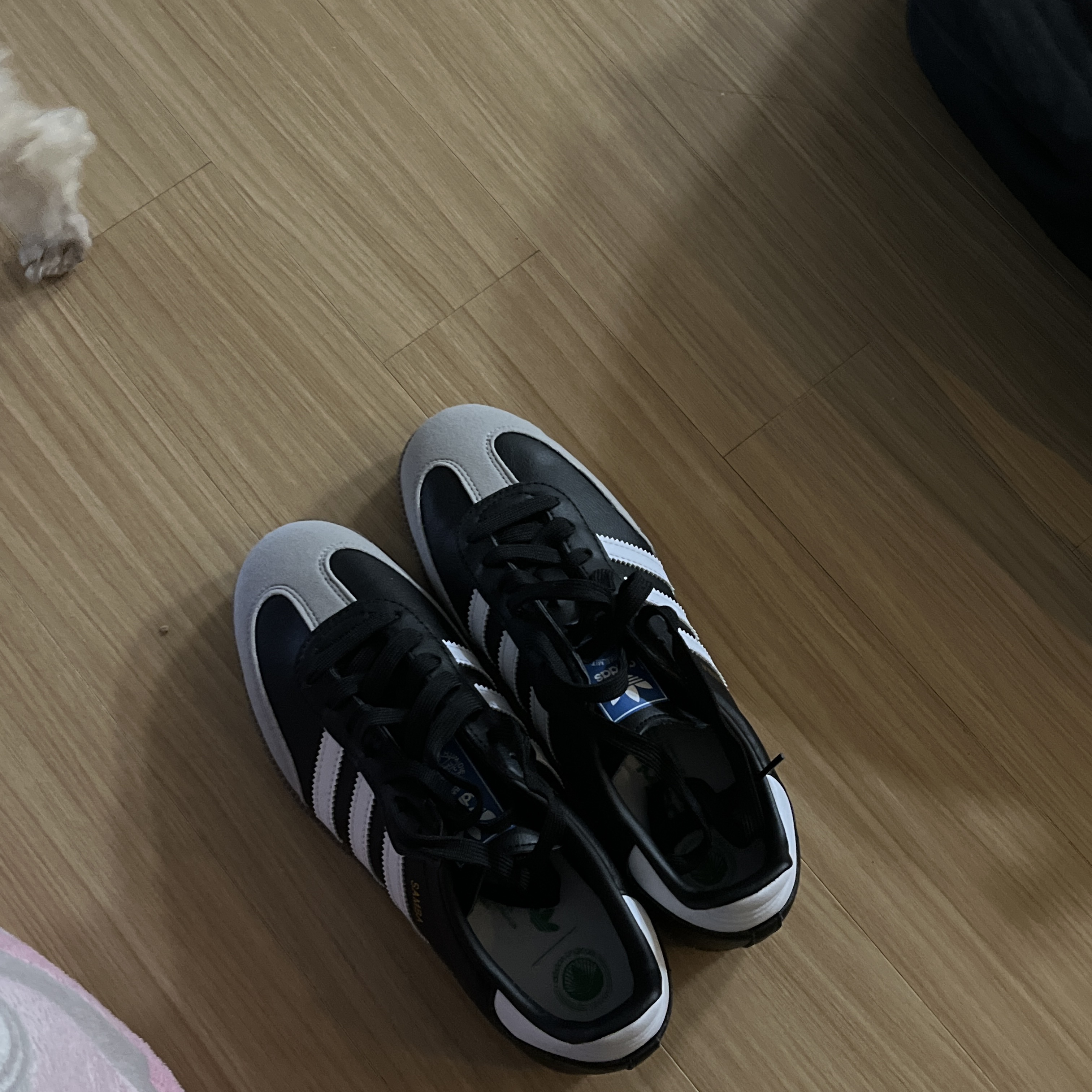Adidas Samba Vegan Black White 착용 스타일