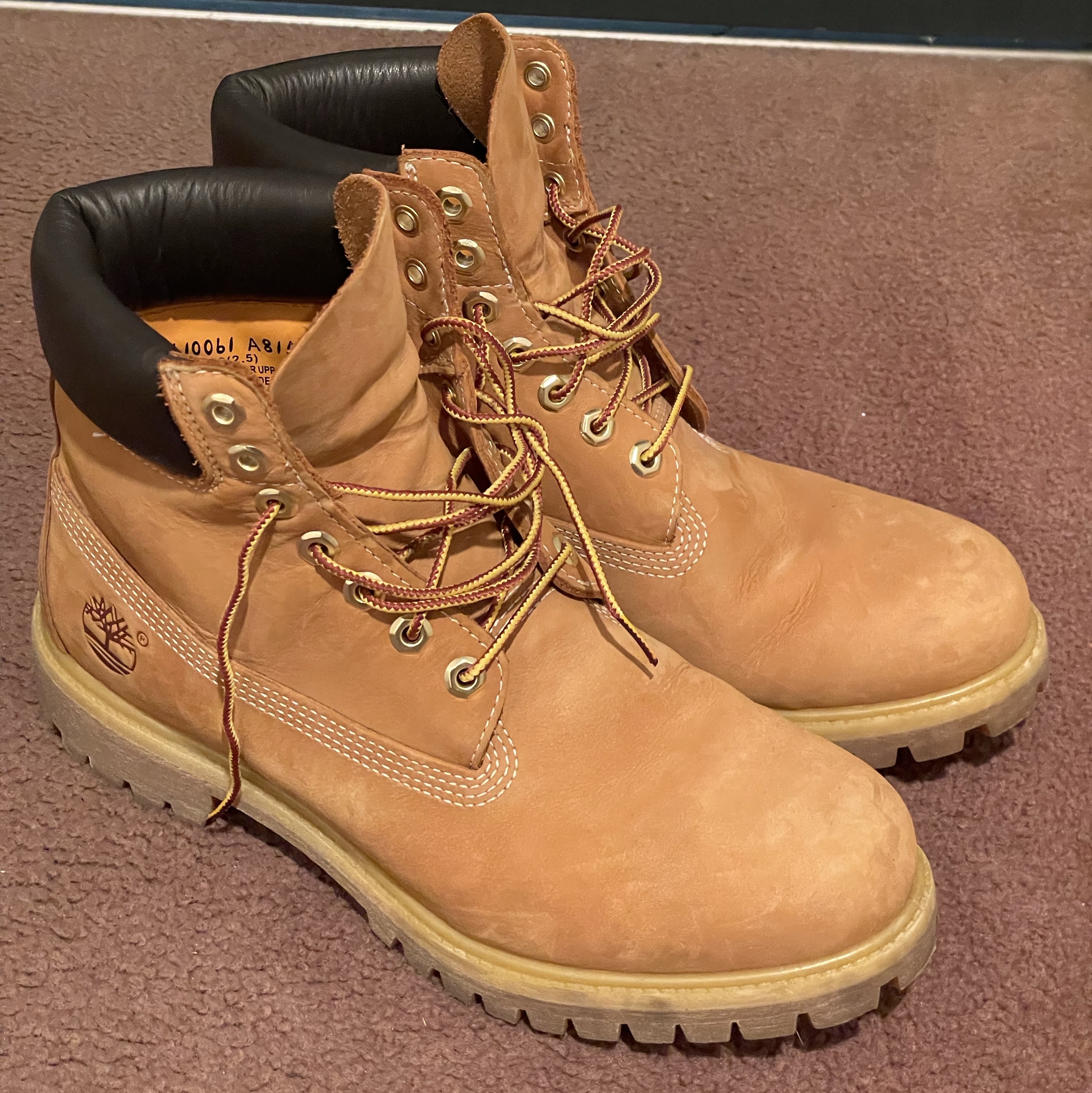 Timberland Premium 6 inch Waterproof Boot Wheat Nubuck - Wide 착용 스타일