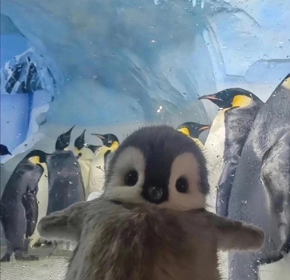 관심 유저 프로필 이미지