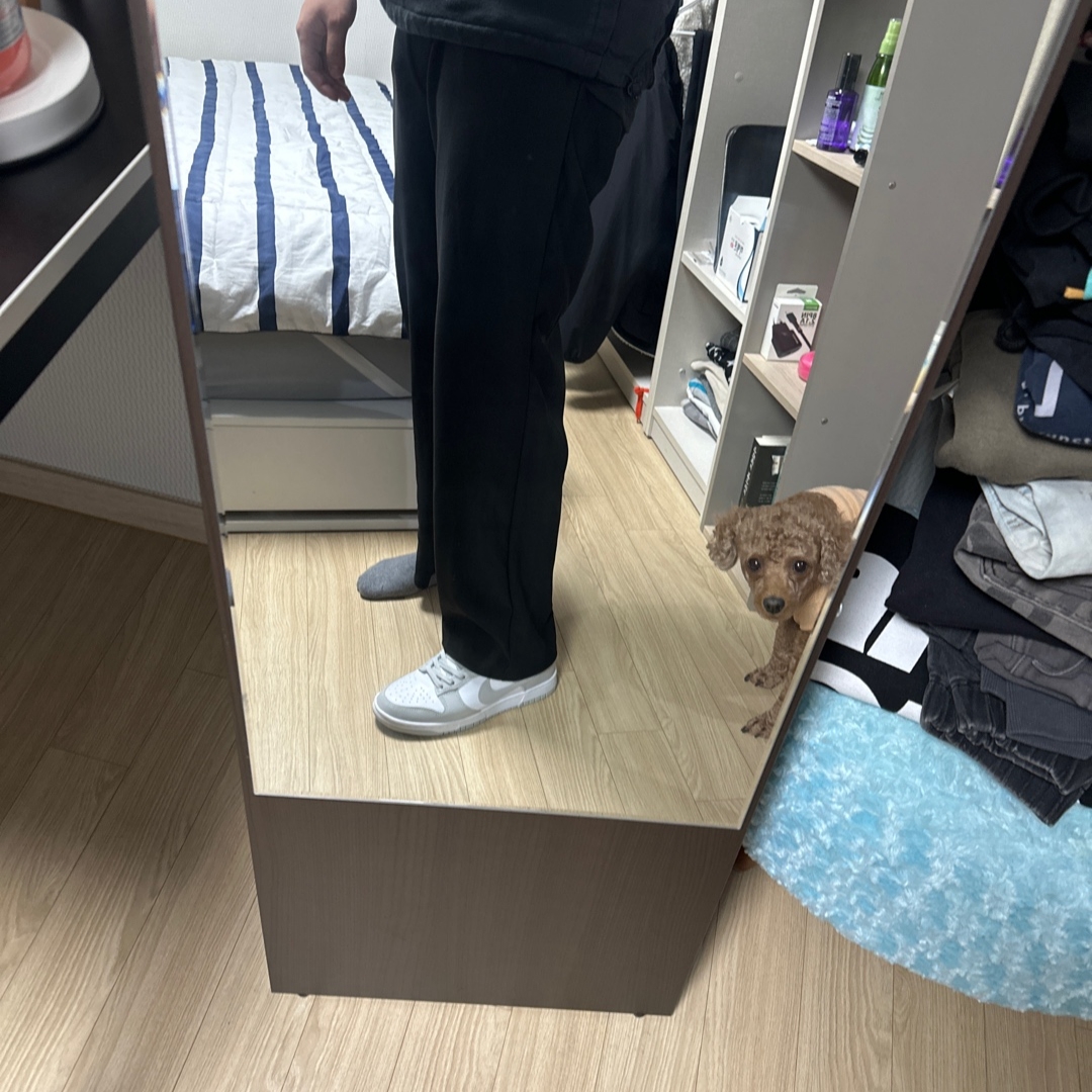 Nike Dunk Low Retro Grey Fog 착용 스타일