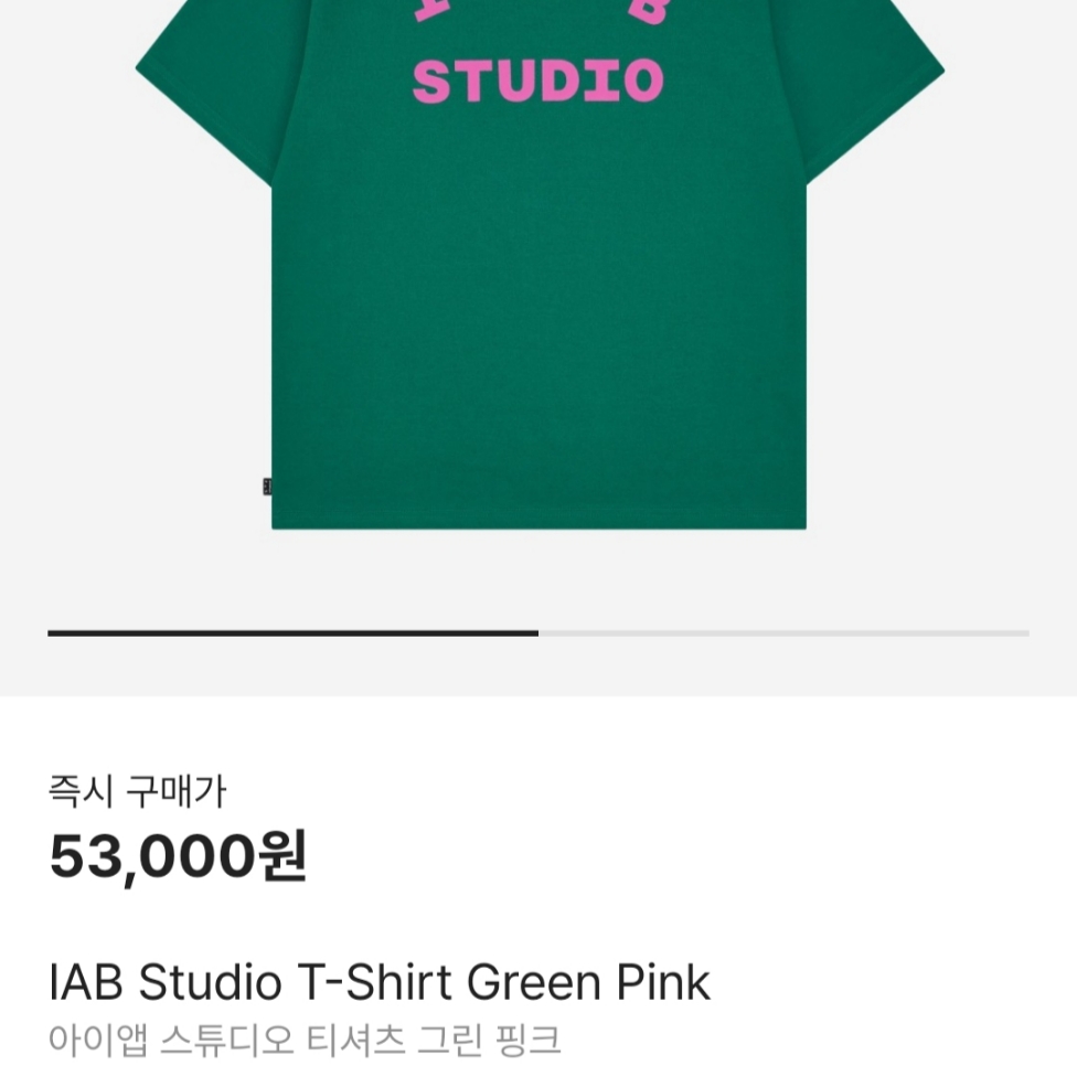 IAB Studio T-Shirt Green Pink 착용 스타일