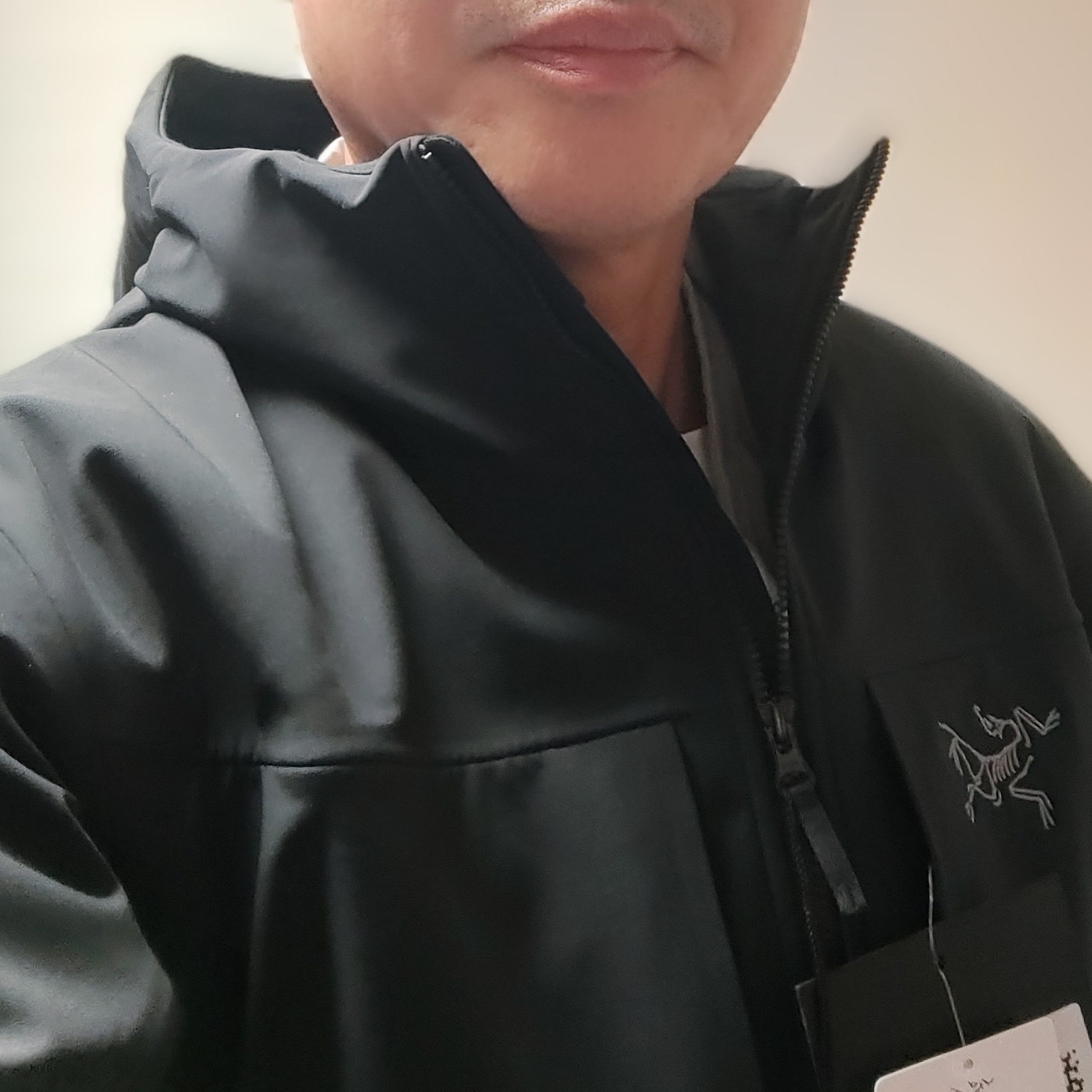 Arc'teryx Gamma MX Hoody Black 착용 스타일