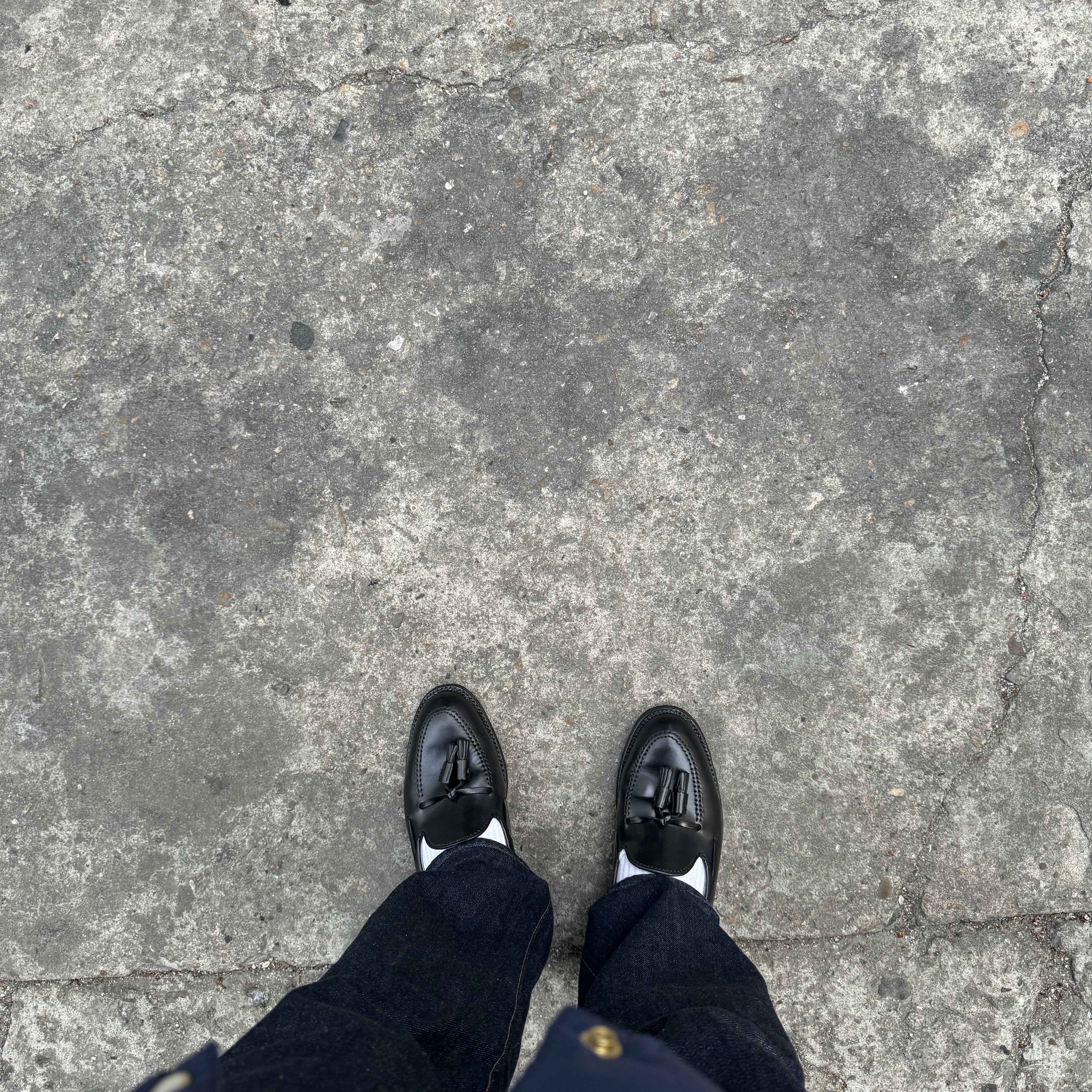 Alden 664 Shell Cordovan Tassel Loafers Black - D 착용 스타일 - 1