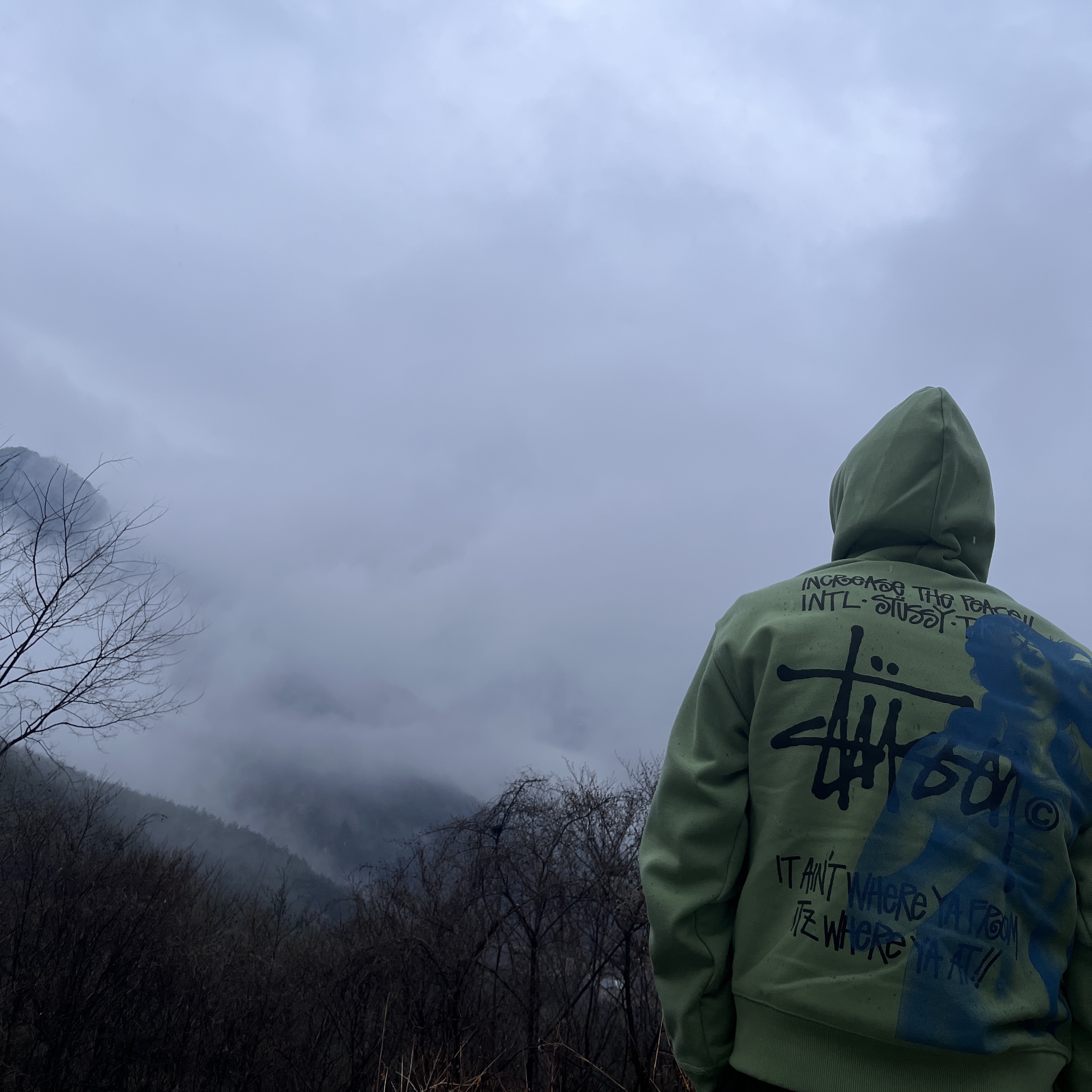 Stussy Ist Venus Zip Hoodie Moss 착용 스타일