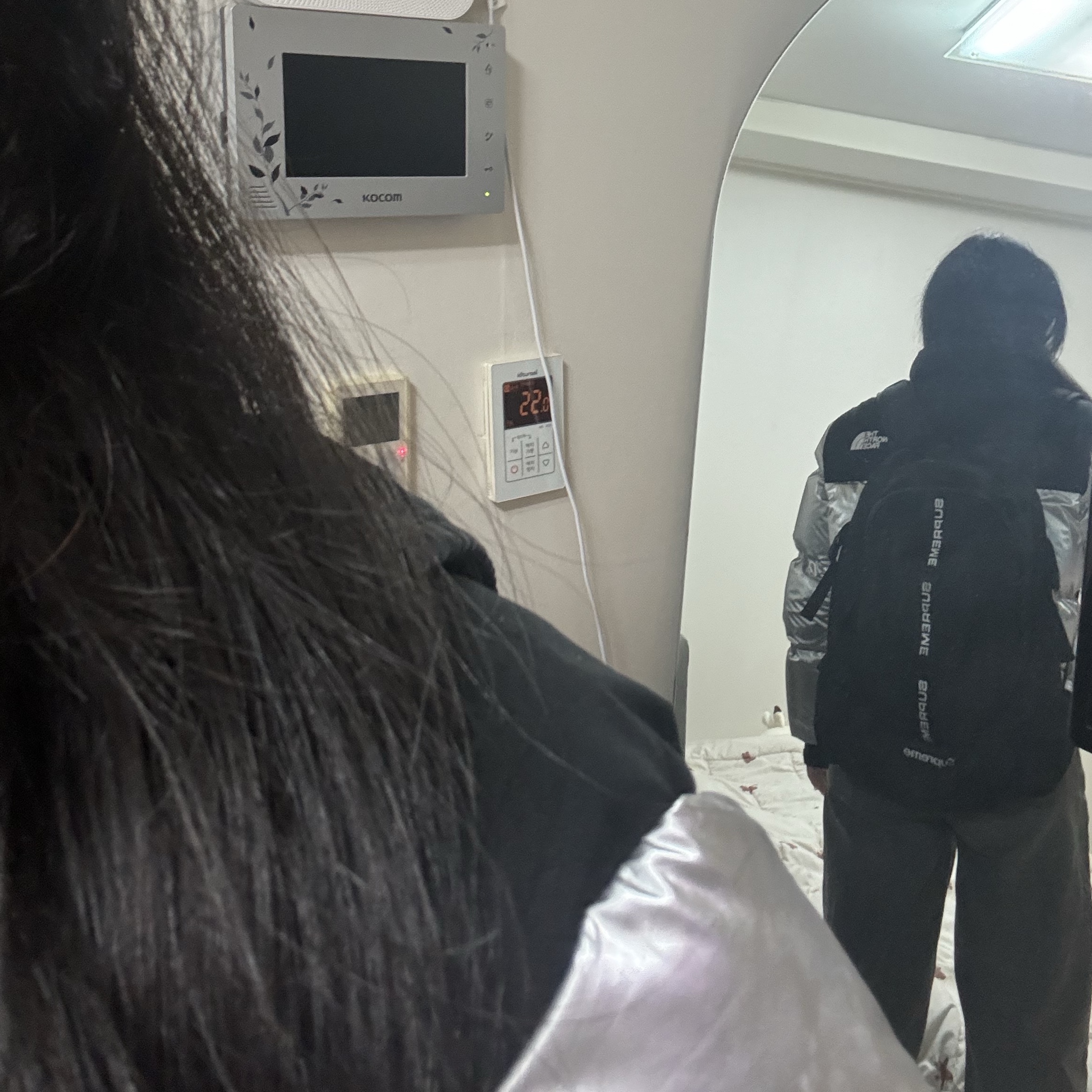 Supreme Backpack Black - 22FW, (W) The North Face White Label Novelty Nuptse Down Jacket SE Silver 착용 스타일 - 1