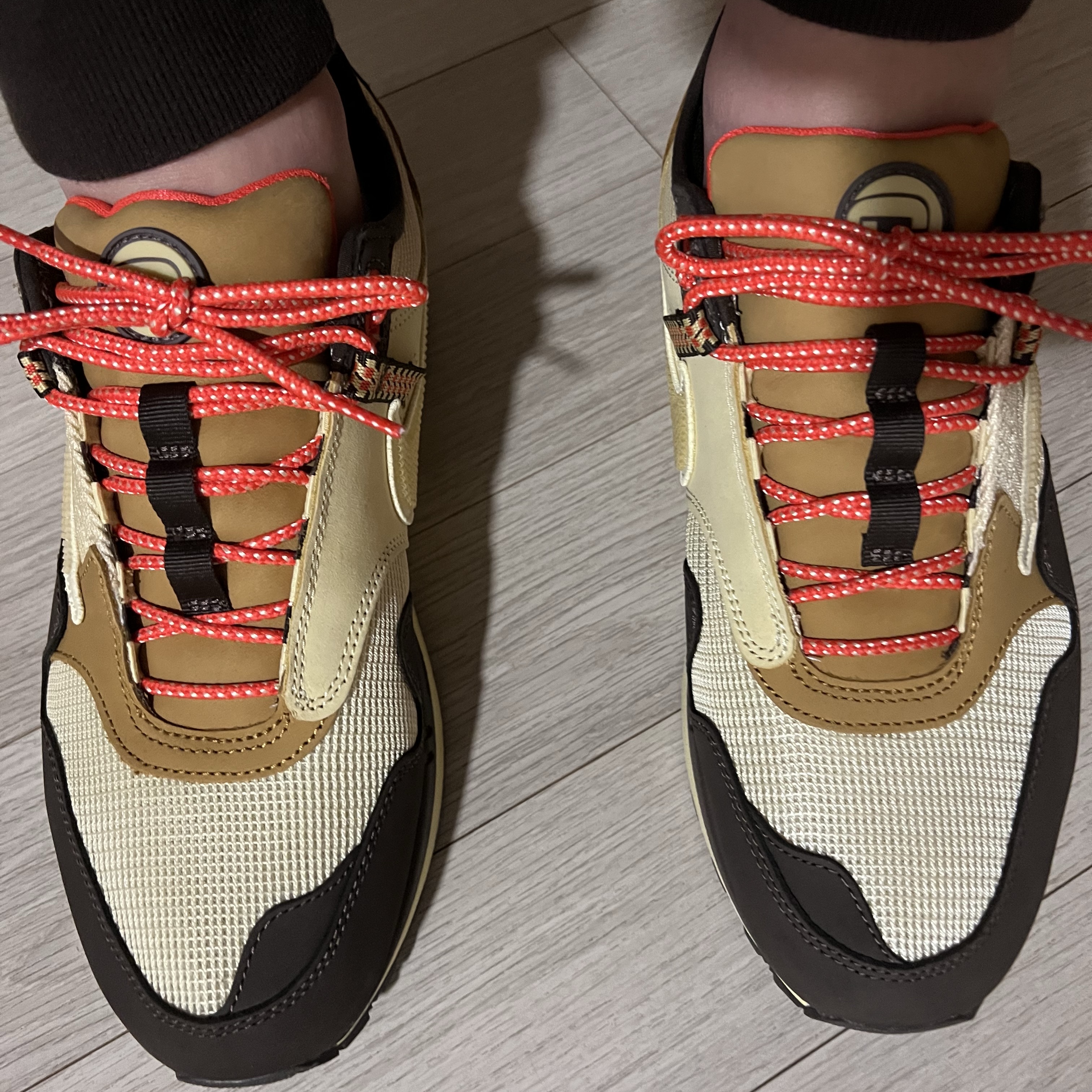 Nike x Travis Scott Air Max 1 Cact.us Brown 착용 스타일 - 1