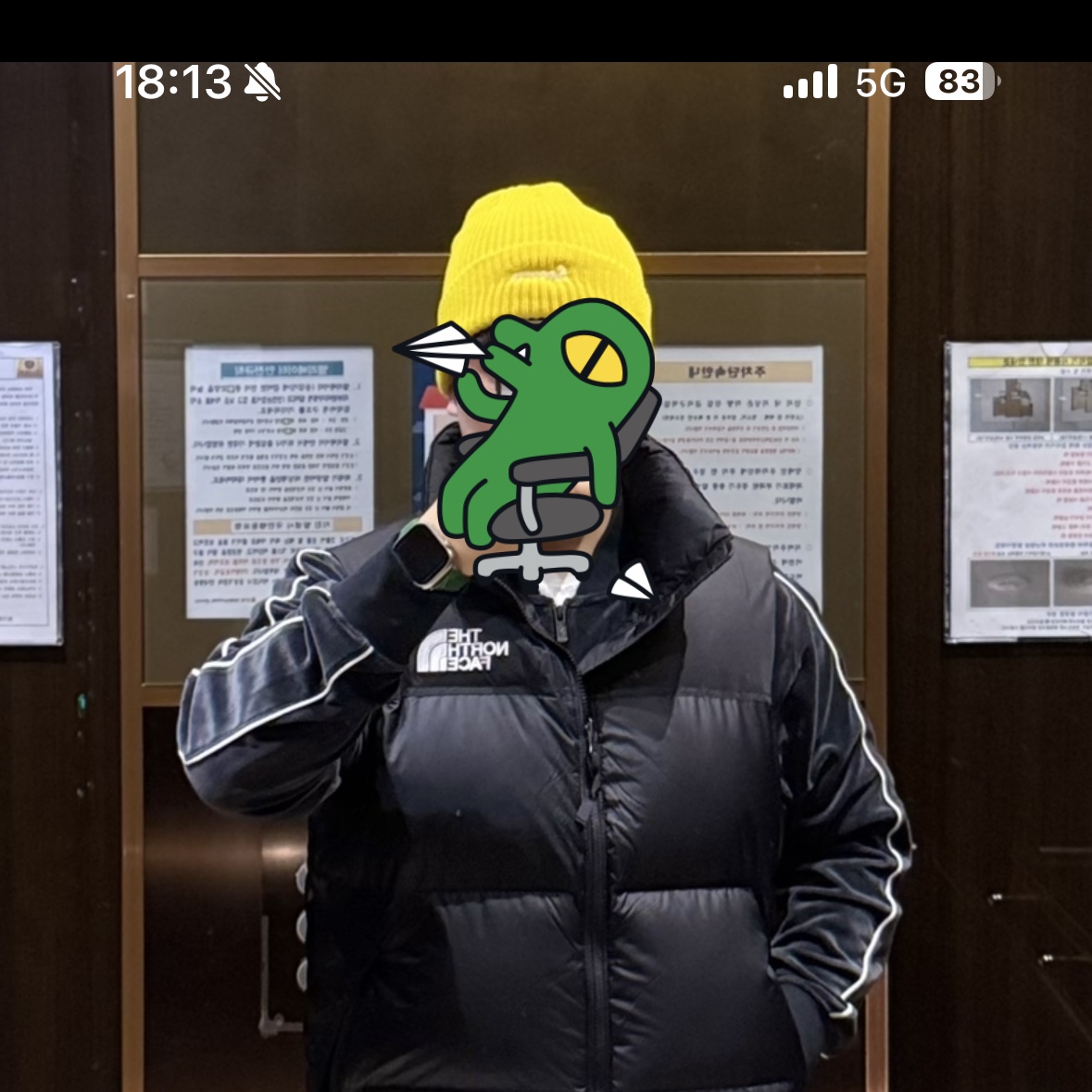 The North Face 1996 Retro Nuptse Vest Black, Supreme Loose Gauge Beanie Yellow - 23FW 착용 스타일