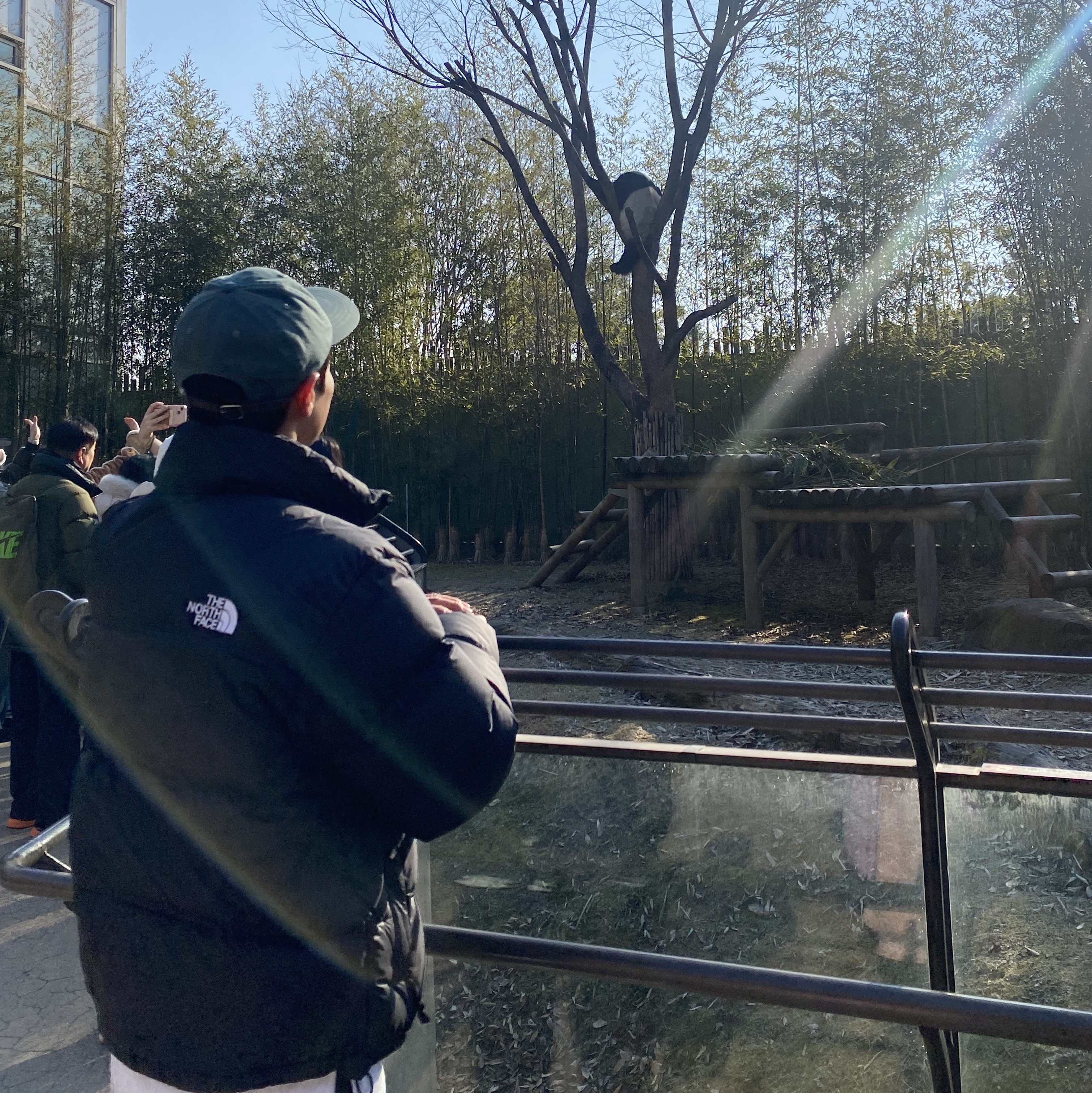 Palace P 6-Panel Green - 23FW 착용 스타일