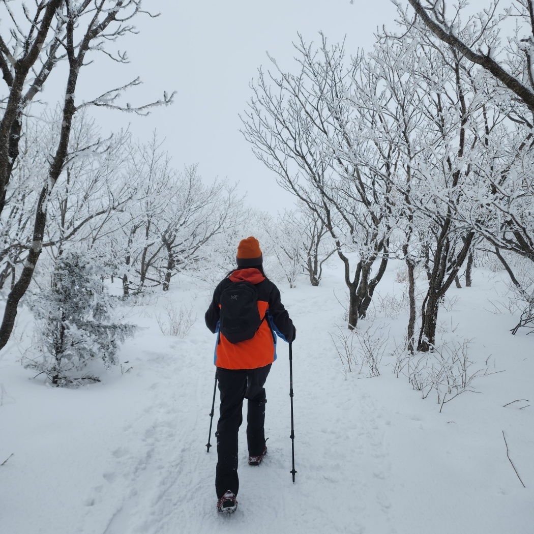 Nike ACG Polartec Wolf Tree Pullover Hoodie Cinnabar - Asia, Nike ACG Trail Pants Black Anthracite - Asia 착용 스타일 - 3