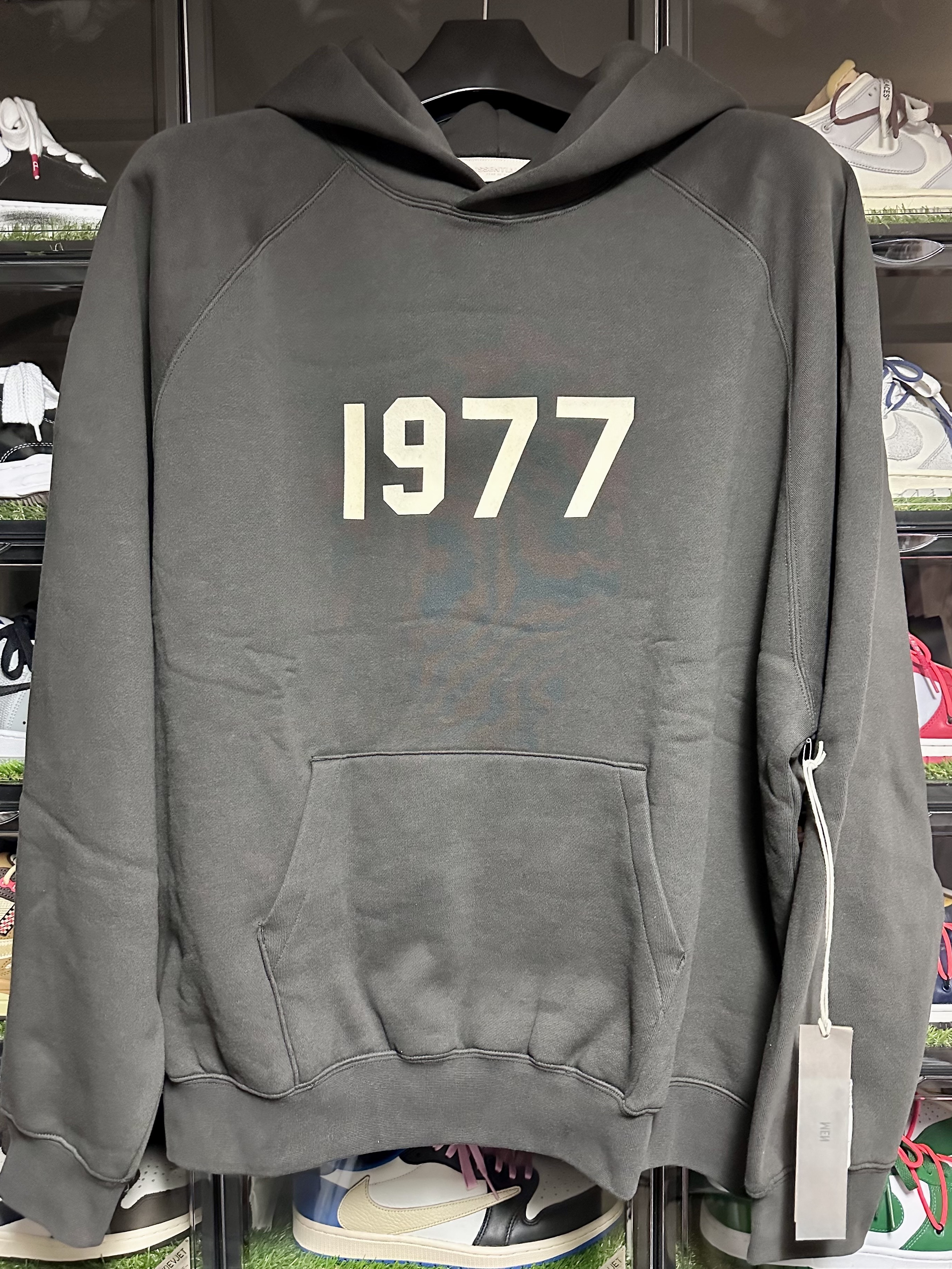 Essentials 1977 Hoodie Iron - 22SS 착용 스타일