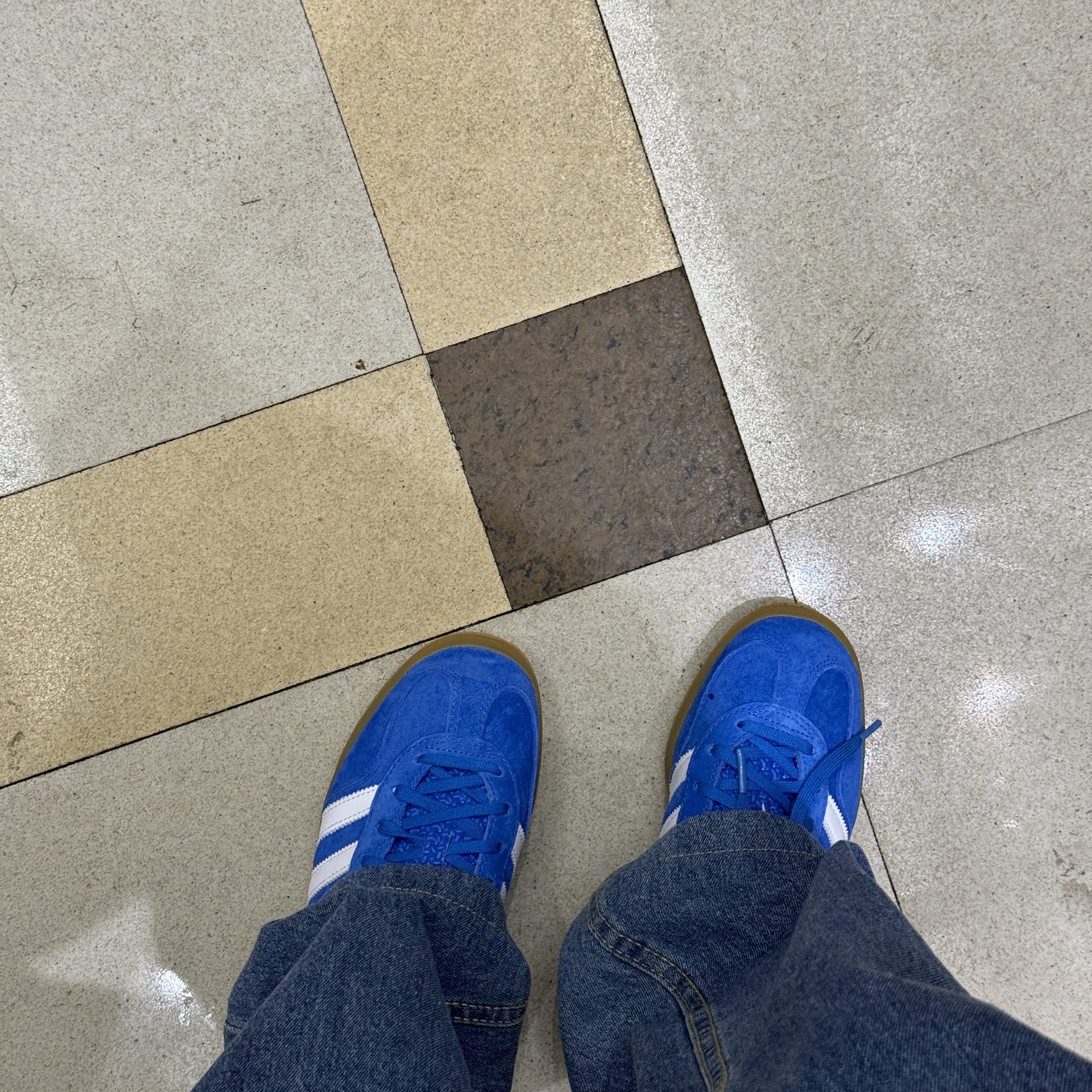 Adidas Gazelle Indoor Blue Bird 착용 스타일