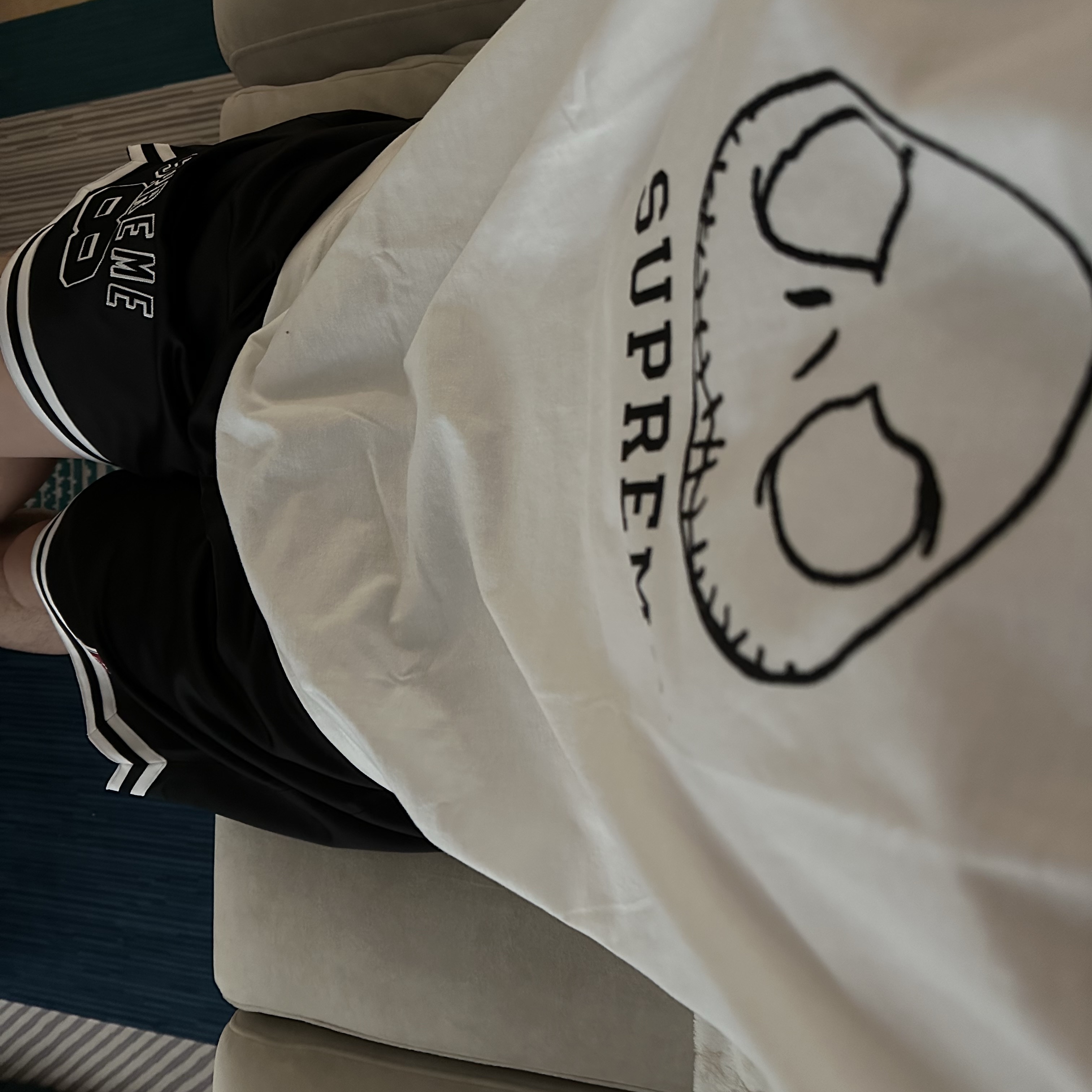 Supreme Skeleton T-Shirt White - 23FW, Supreme Mitchell & Ness Satin Basketball Shorts Black - 23SS 착용 스타일