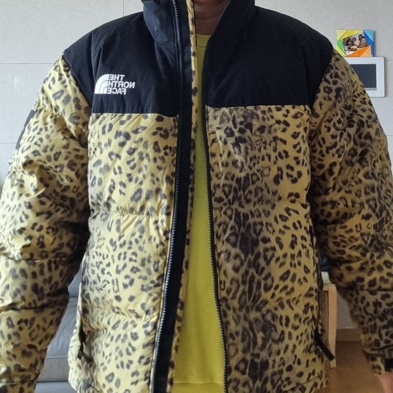 The North Face White Label Novelty Nuptse Down Jacket P Gold 착용 스타일