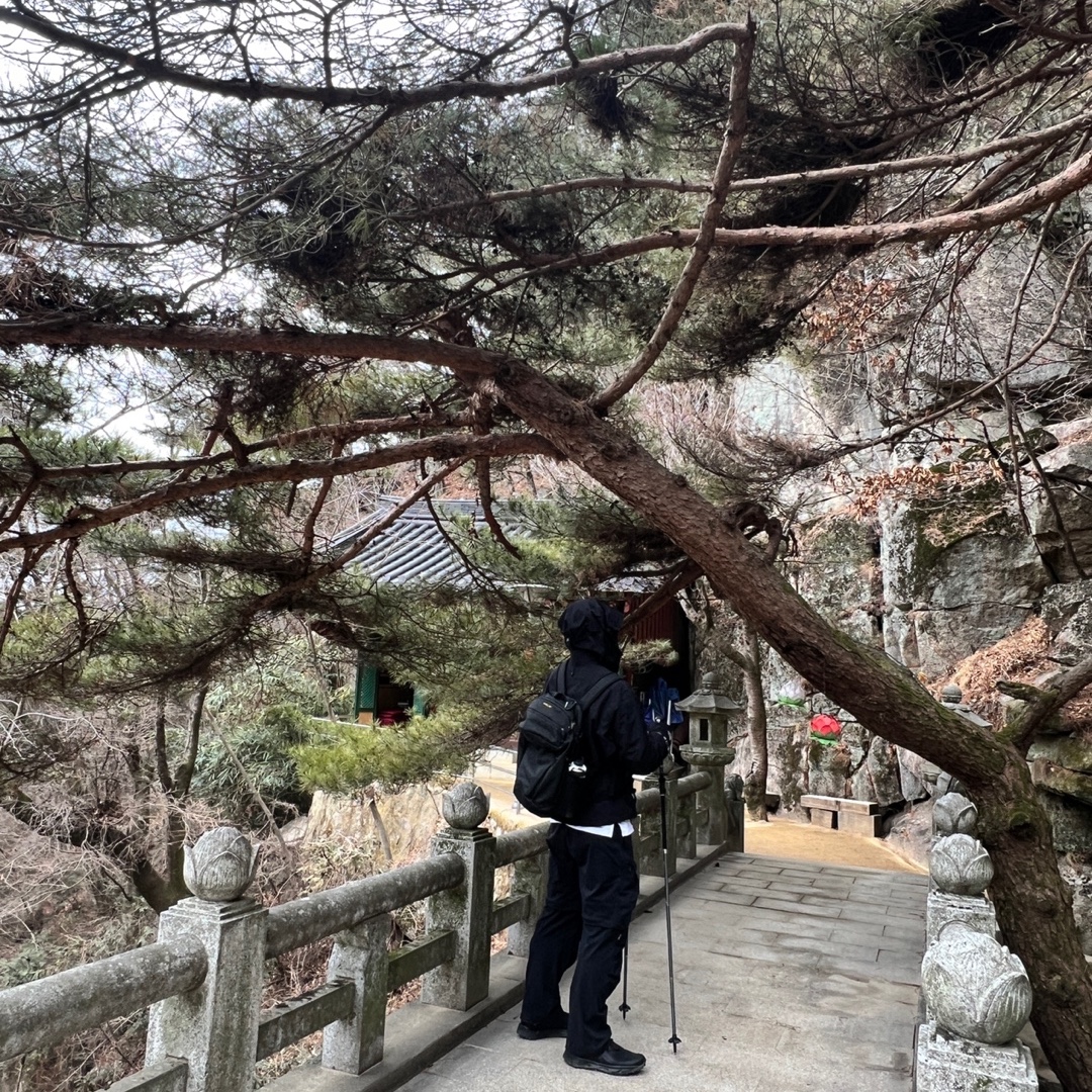 Arc'teryx Beta LT Jacket Black, Arc'teryx Mantis 26 Backpack Black 착용 스타일 - 1