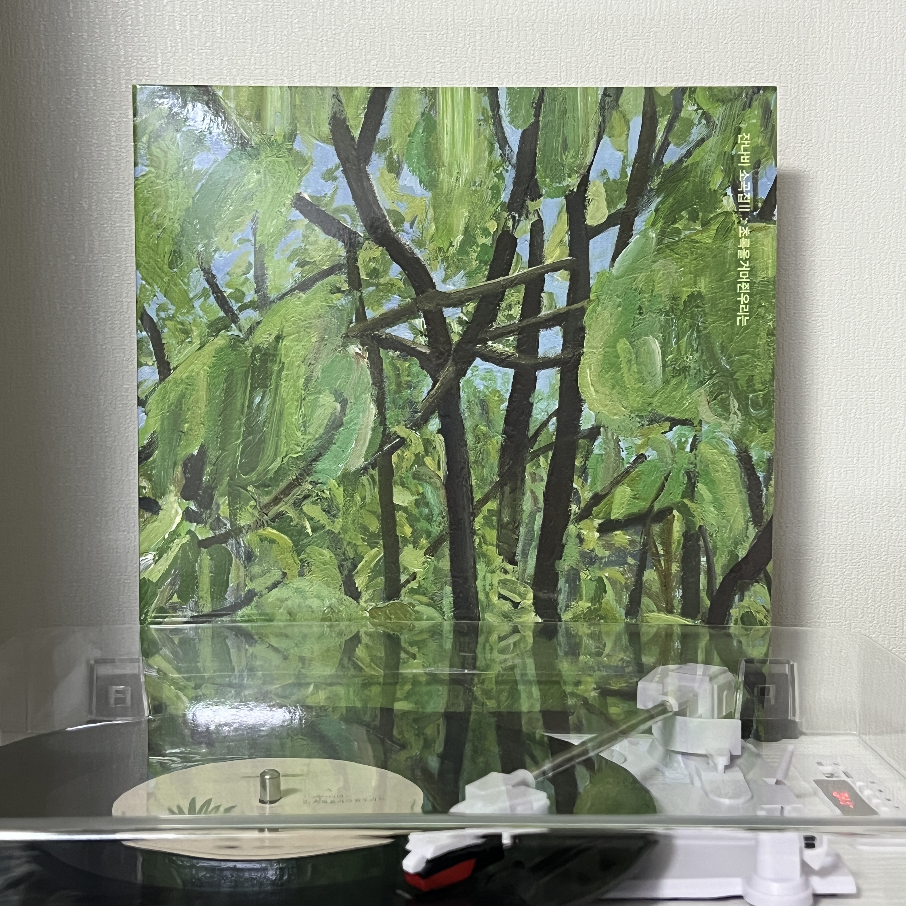 Jannabi Small Pieces II GRIPPIN’THEGREEN LP Black 착용 스타일