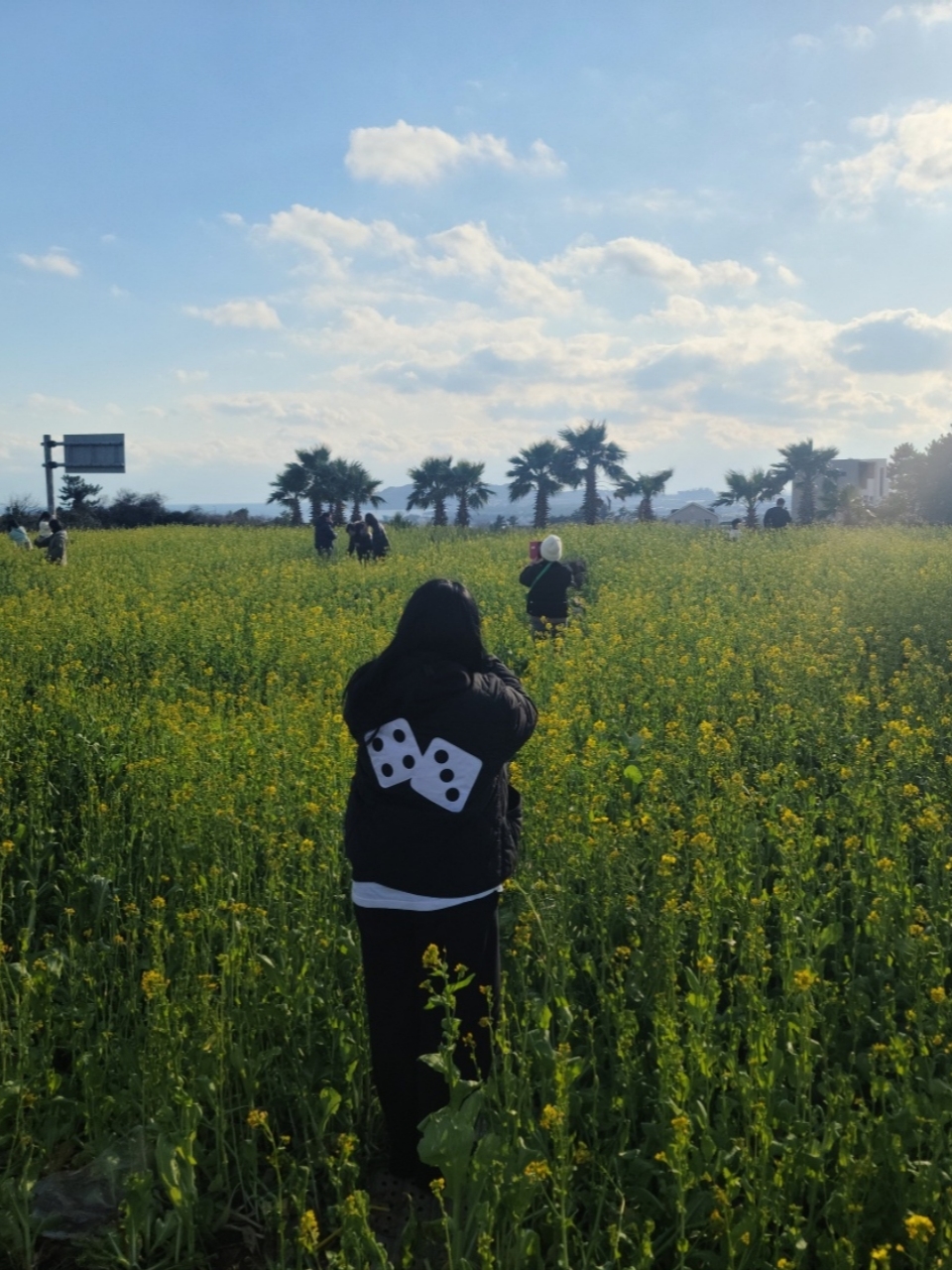 Stussy Dice Quilted Liner Jacket Black 착용 스타일 - 1
