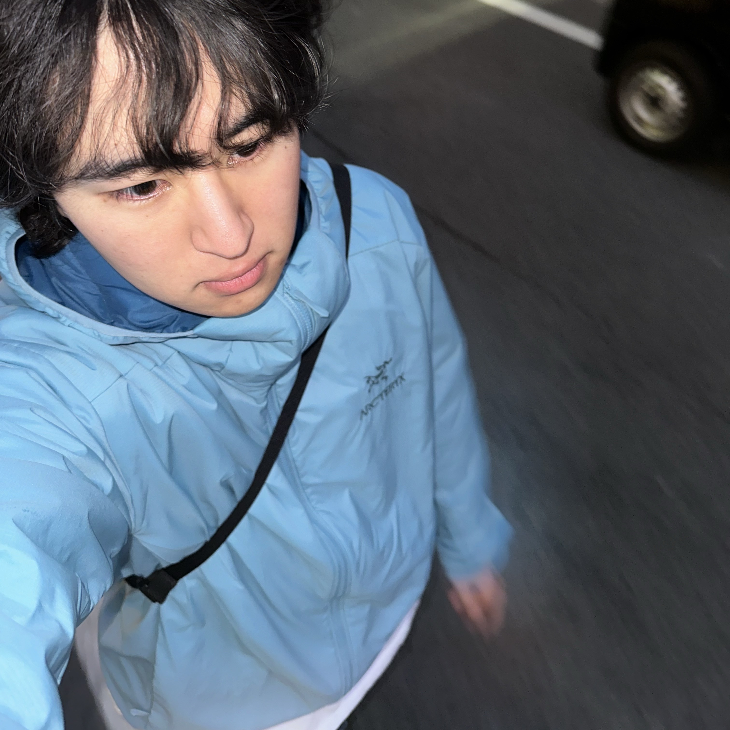 Arc'teryx Atom LT Hoody Solace 착용 스타일 - 1
