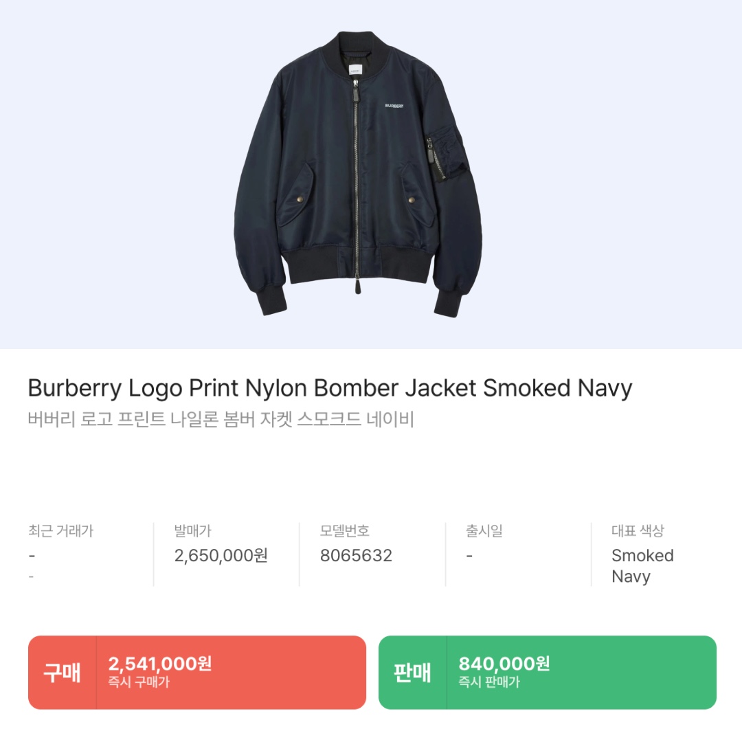 Jacquemus Le ChouChou Le Cargo Croissant Soft Cargo Pants Dark Brown, Burberry Logo Print Nylon Bomber Jacket Smoked Navy 착용 스타일 - 5