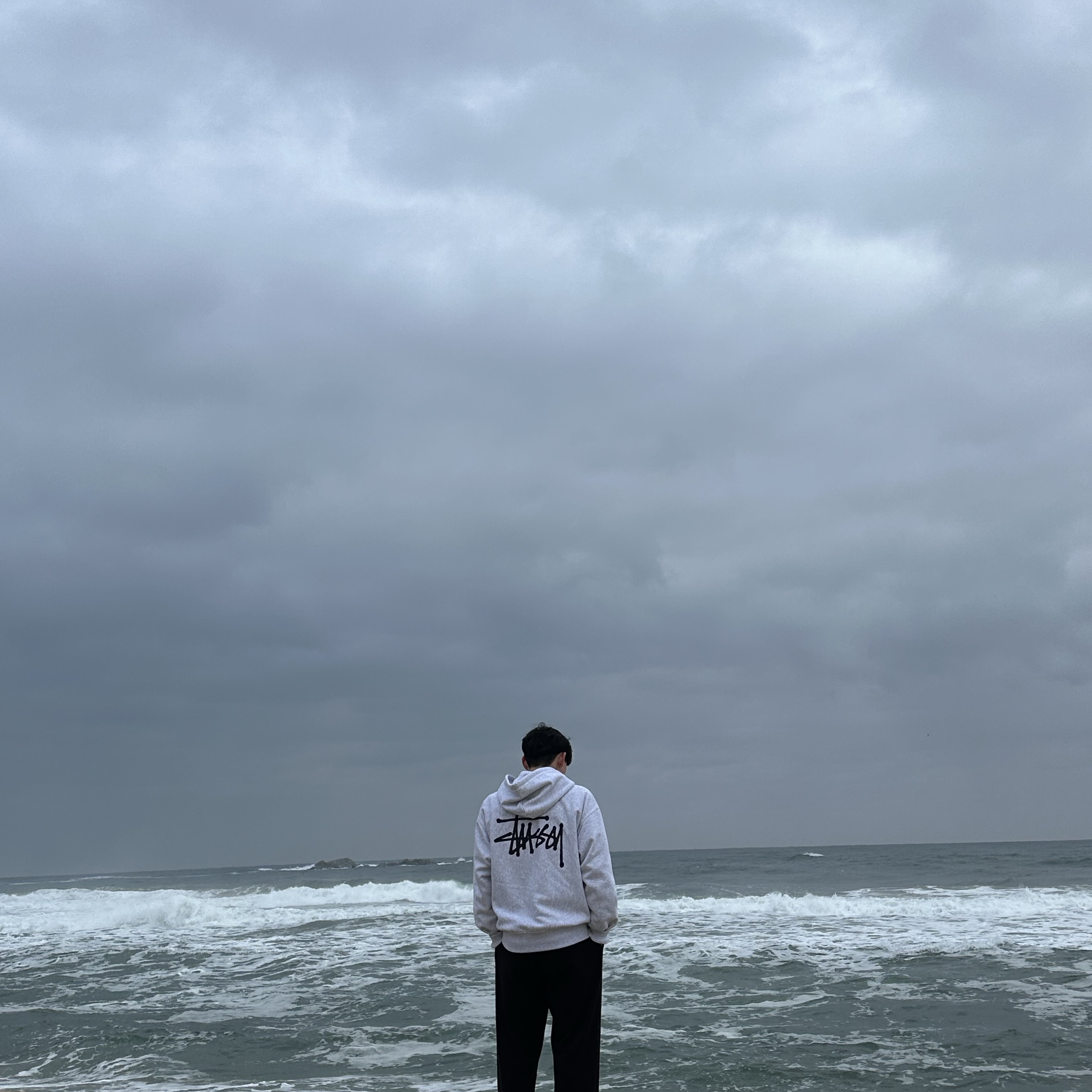 Stussy Basic Stussy Zip Hoodie Ash Heather 2023, Nike Air Force 1 '07 Low White 착용 스타일