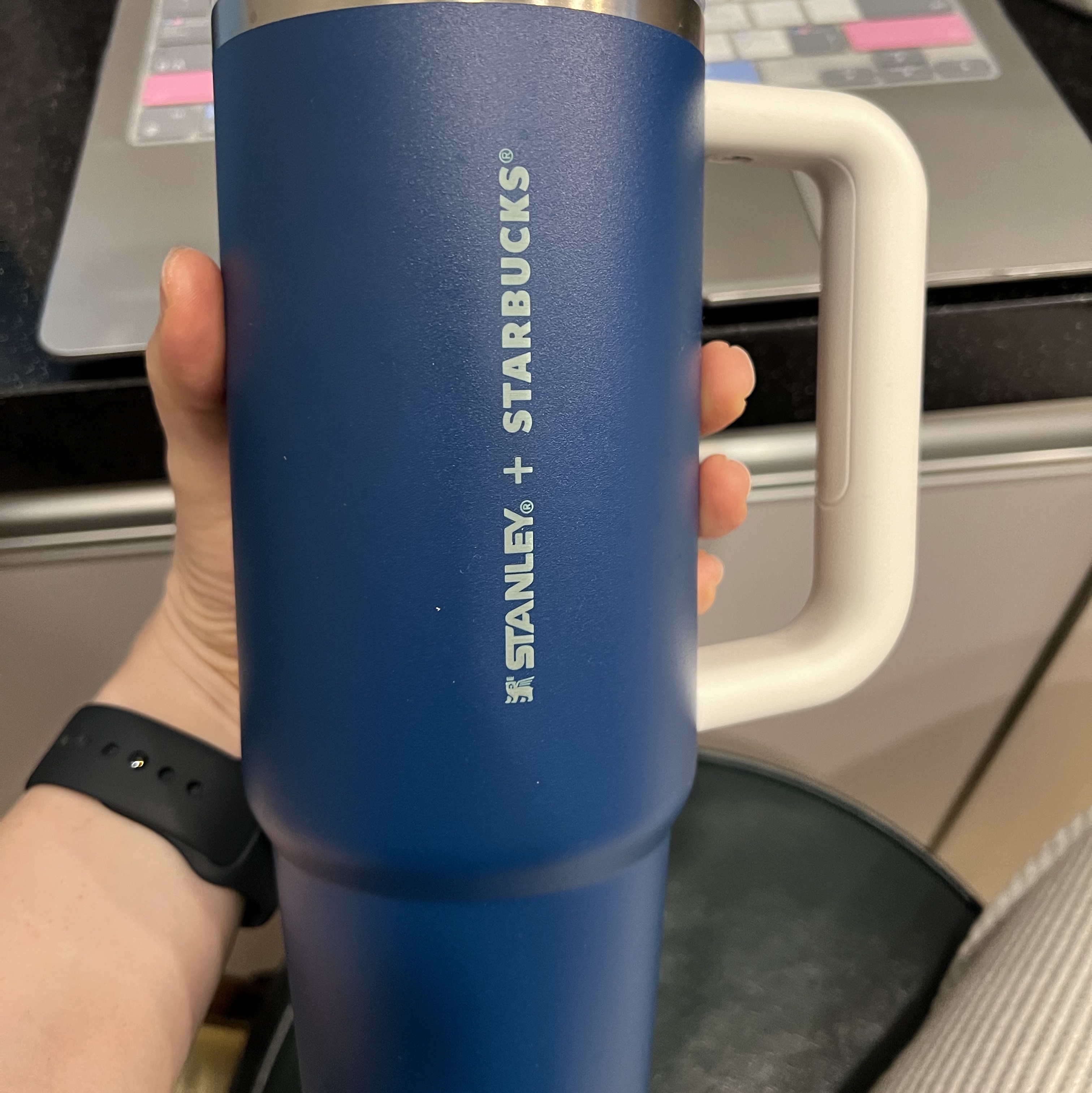 Stanley x Starbucks SS Blue Quencher Handle Tumbler 887ml 착용 스타일