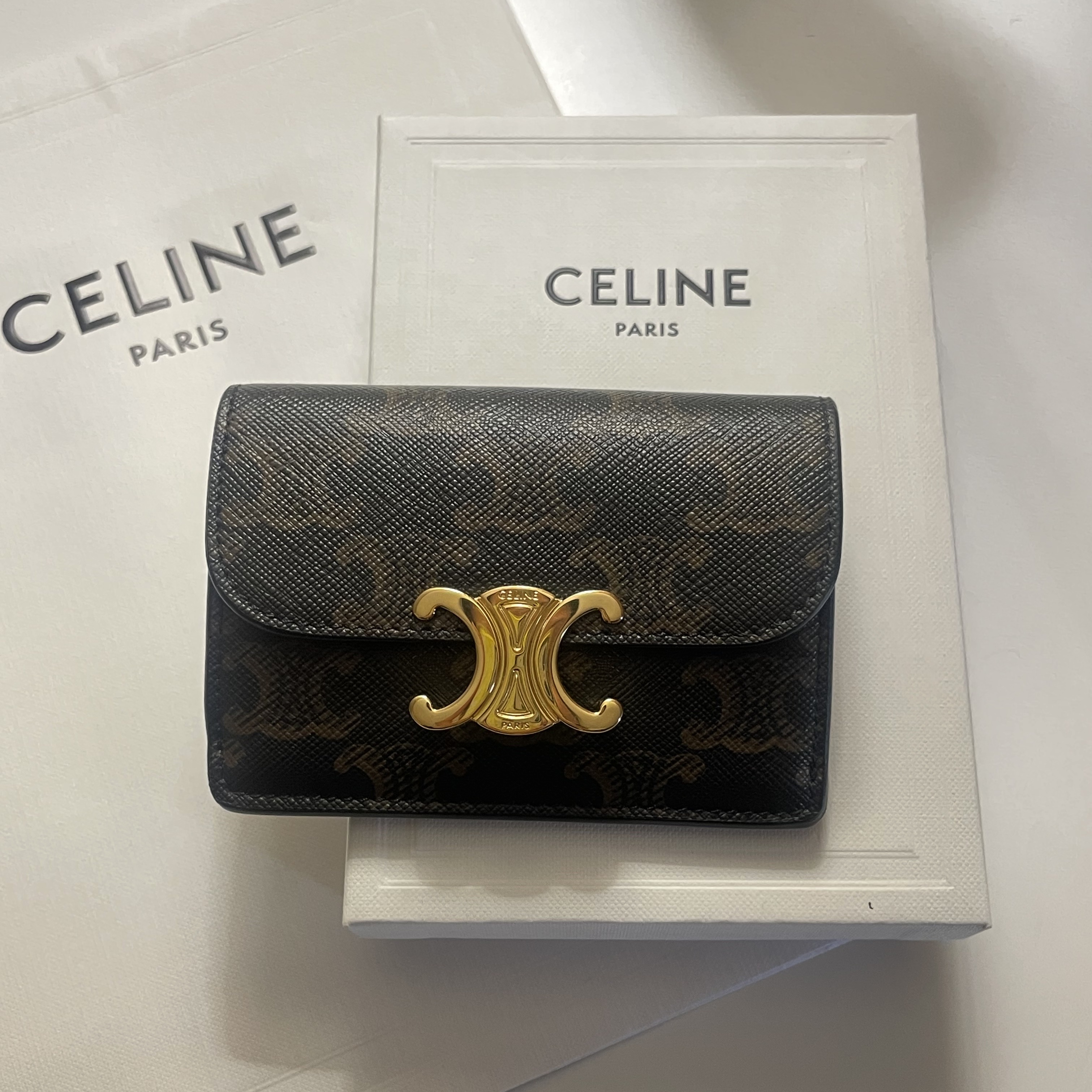 Celine Card Holder with Flap in Triomphe Canvas Tan 착용 스타일