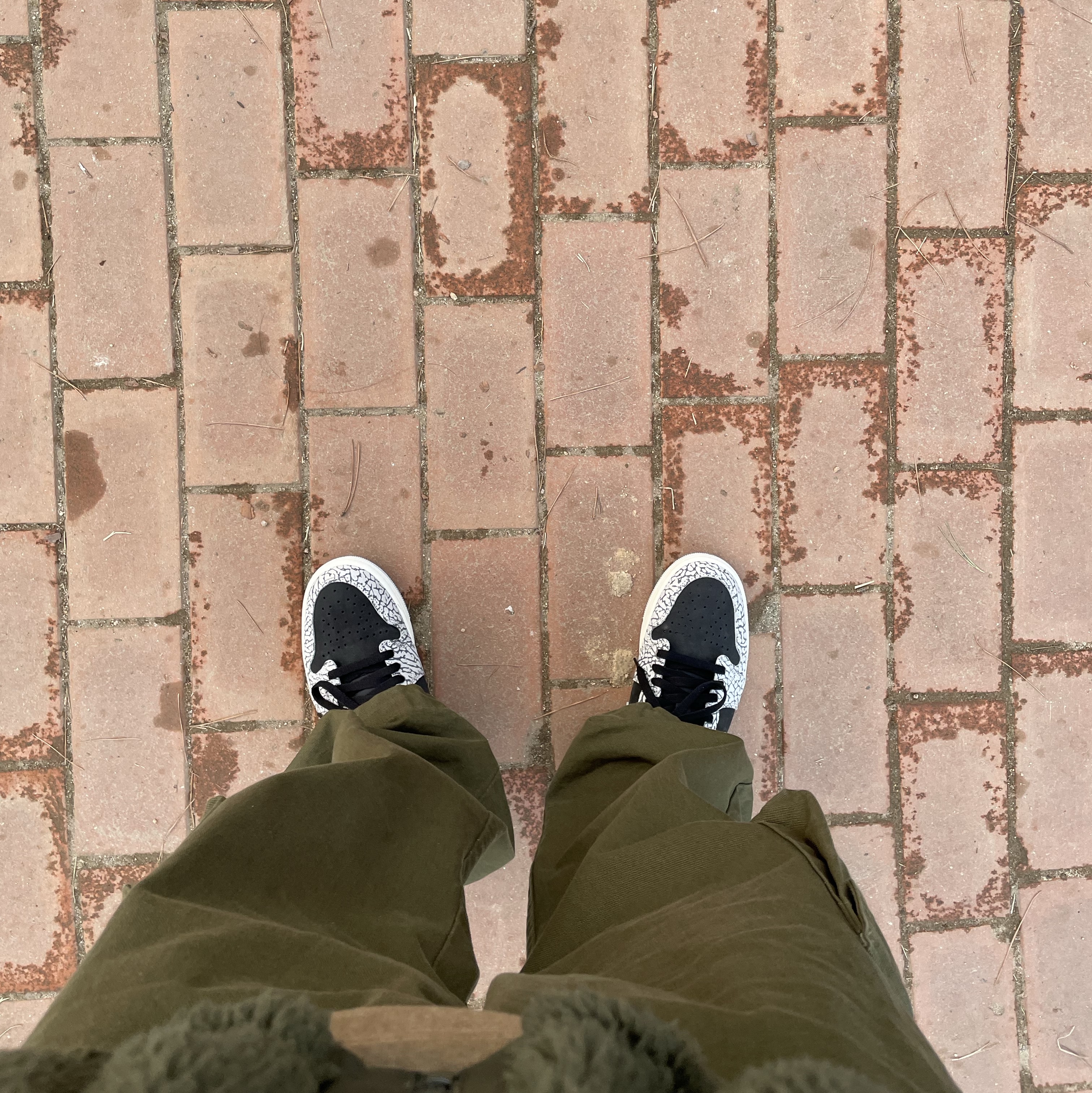 Jordan 1 Retro Low OG Black Cement 착용 스타일