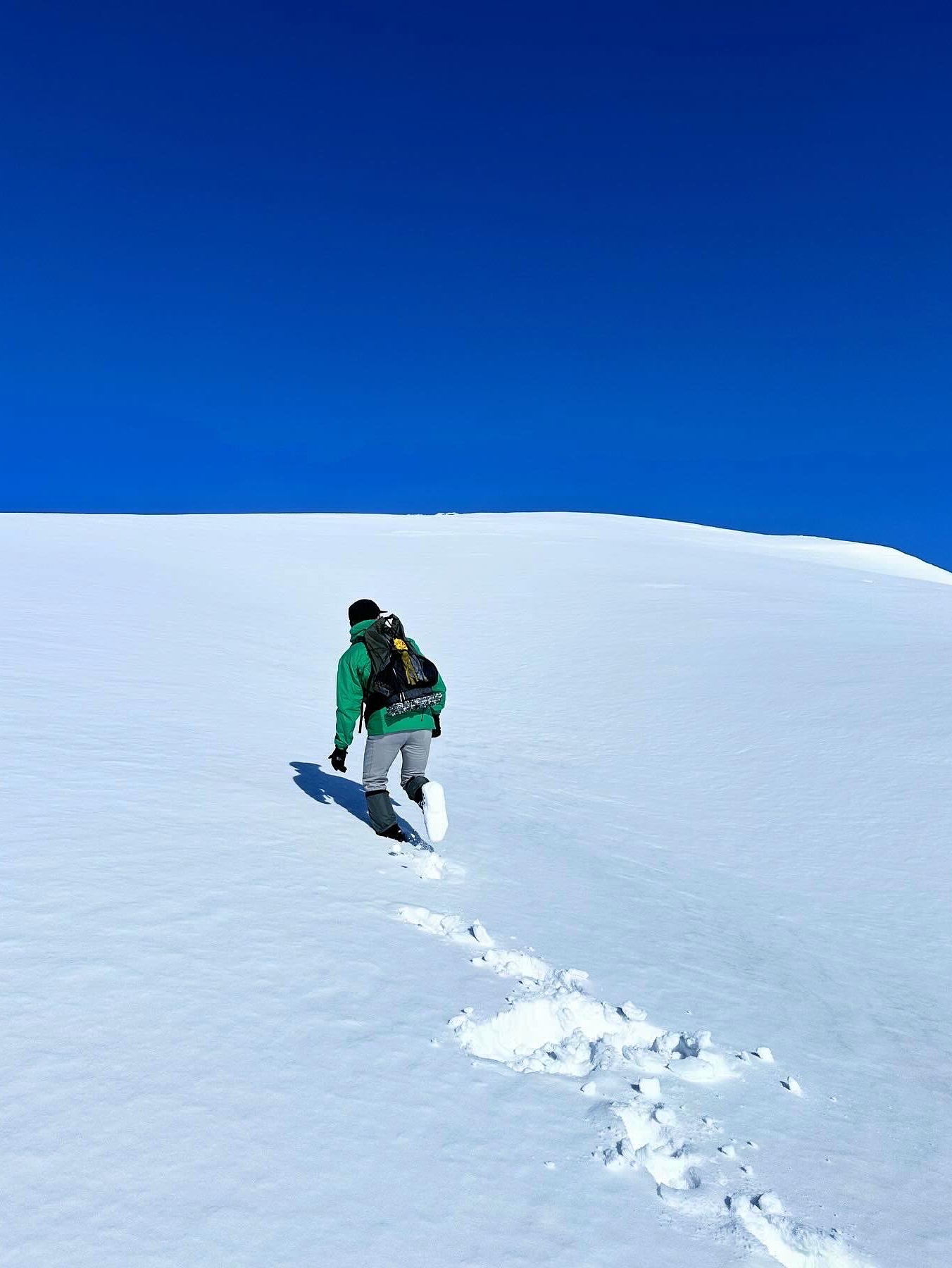 Arc'teryx Atom LT Hoody Jungle 착용 스타일 - 4