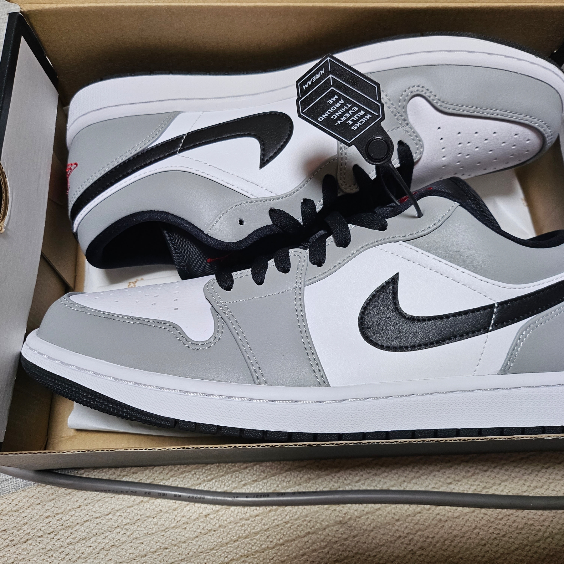 Jordan 1 Low Light Smoke Grey 착용 스타일 - 2