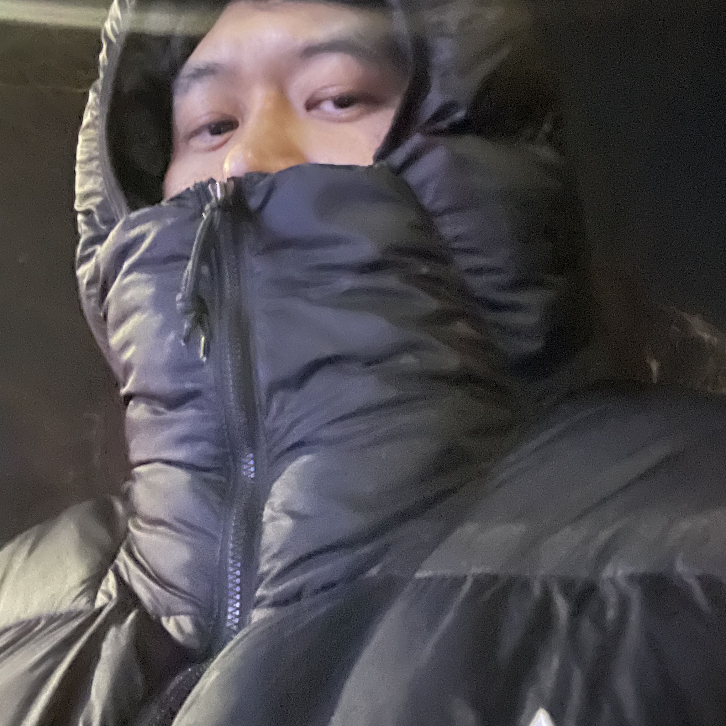 Nike ACG Therma-Fit ADV Lunar Lake Puffer Jacket Black - Asia 착용 스타일