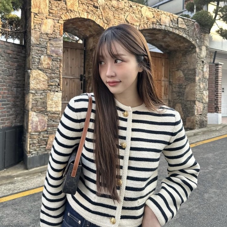Celine Shoulder Bag Claude in Triomphe Canvas Calfskin Tan 착용 스타일