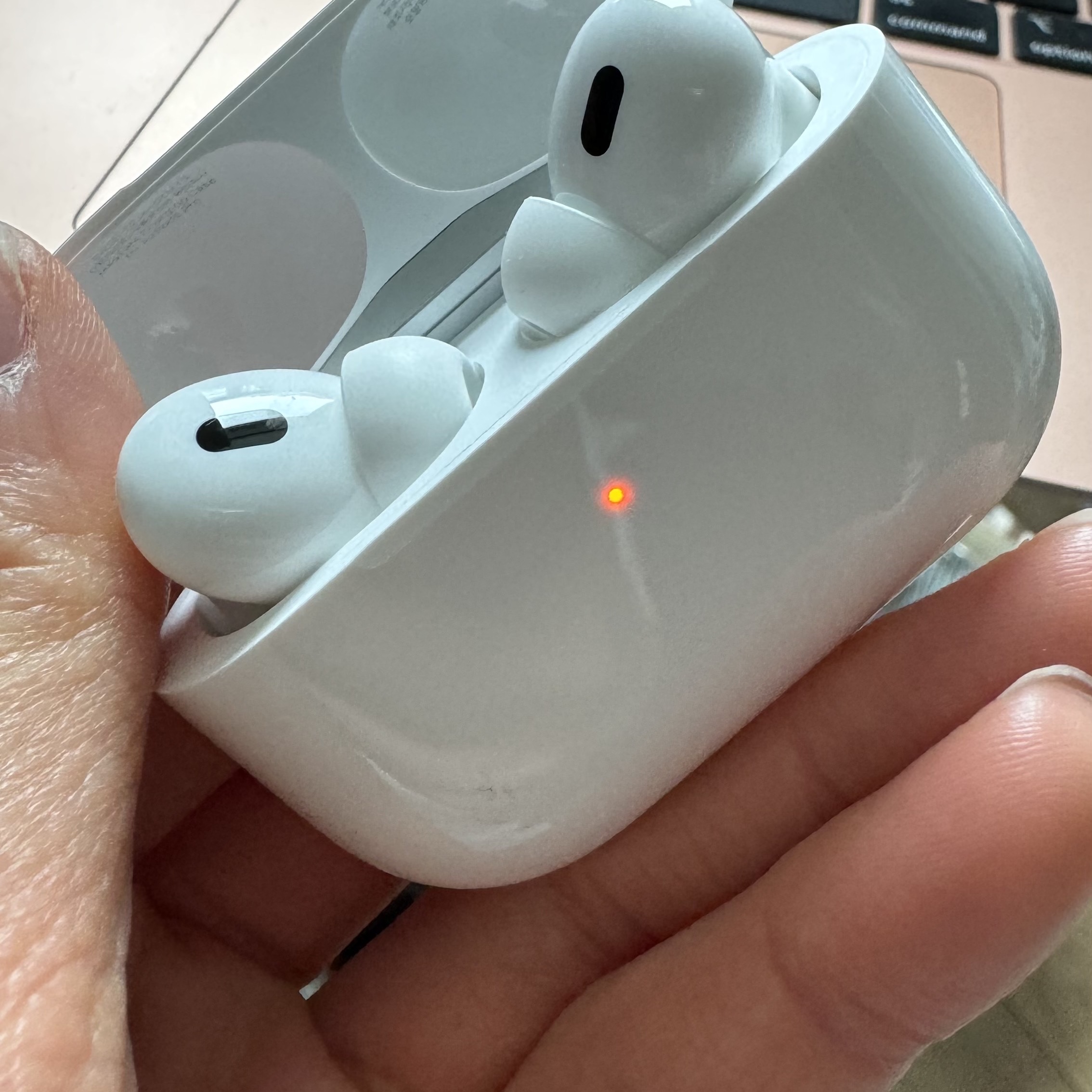 Apple Airpods Pro 2nd Gen with MagSafe Charging Case USB C (Korean Ver.) 착용 스타일