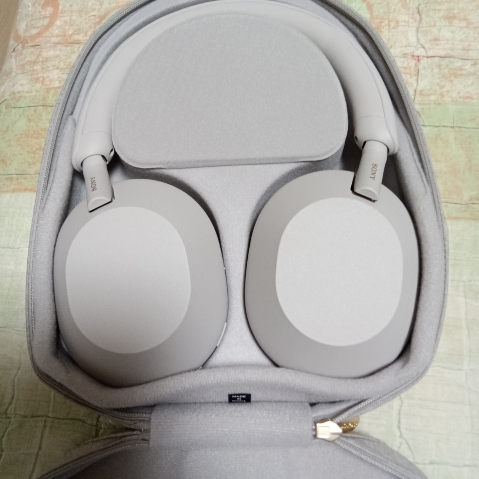 Sony WH-1000XM5 Silver (Sony Korea Ver.) 착용 스타일 - 1