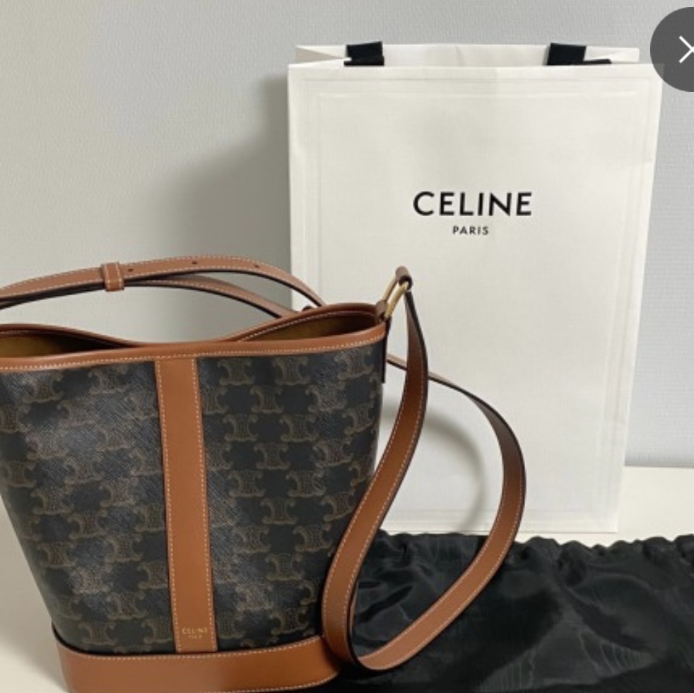 Celine Small Bucket in Triomphe Canvas and Calfskin Tan 착용 스타일