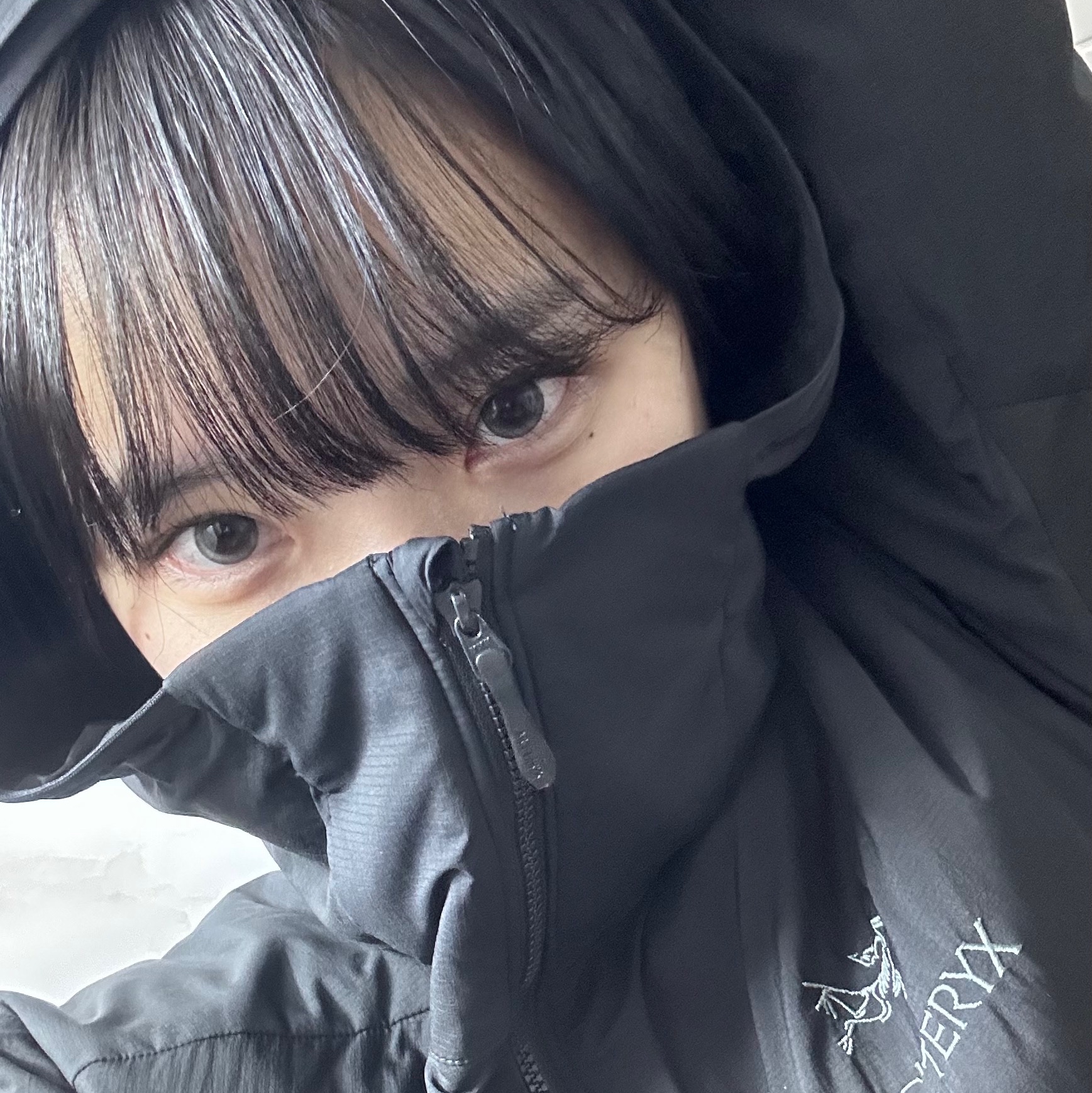 Arc'teryx Atom LT Hoody Black 착용 스타일 - 1