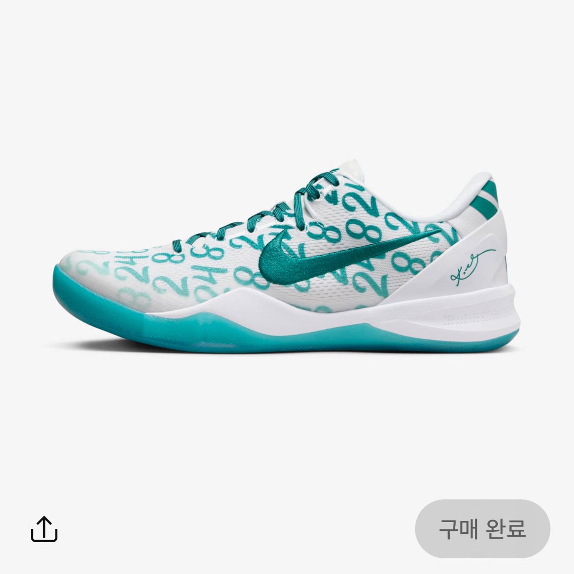 Nike Kobe 8 Protro Aqua 착용 스타일