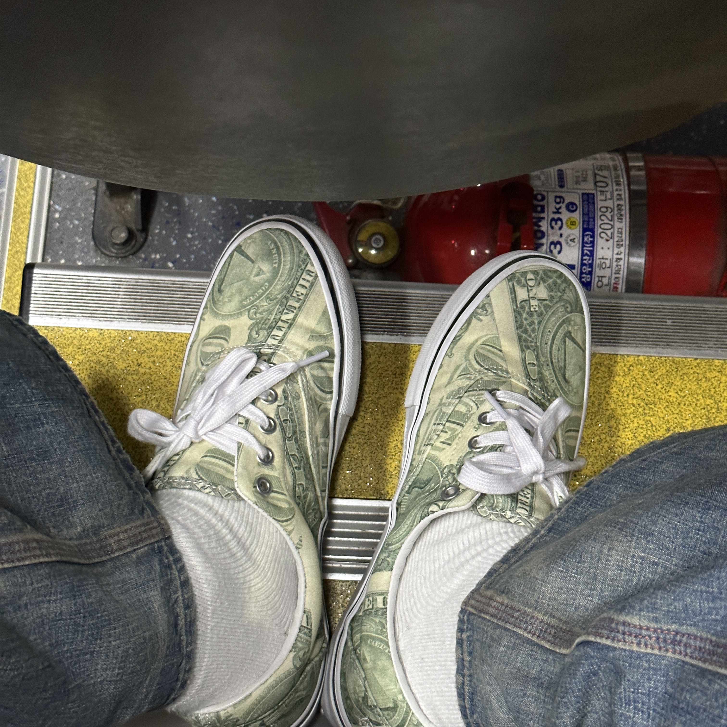 Vans x Supreme Era Dollar Green 착용 스타일 - 3