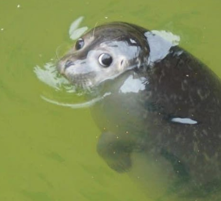 관심 유저 프로필 이미지
