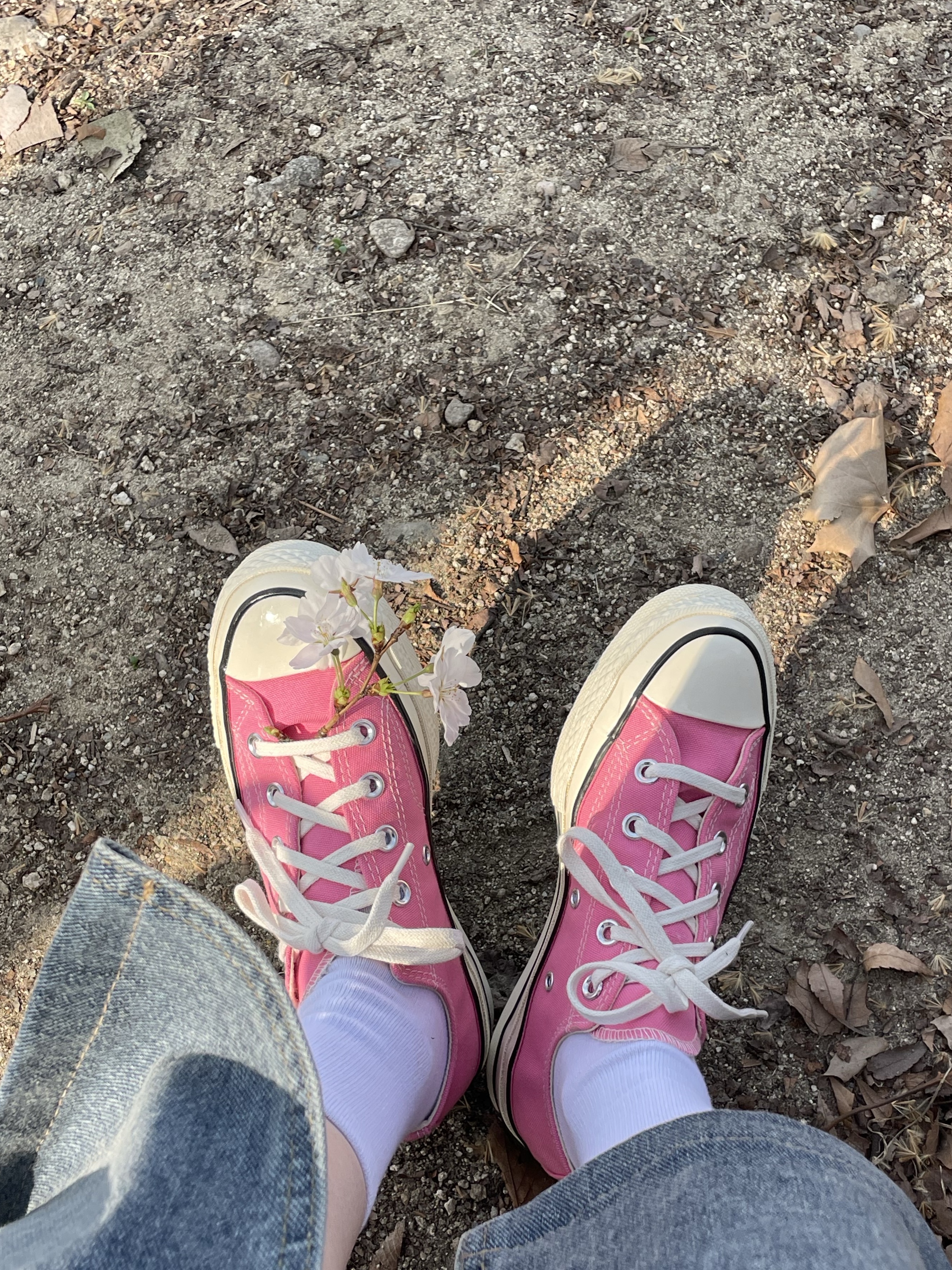 Converse Chuck 70 Ox Vintage Canvas Pink 착용 스타일
