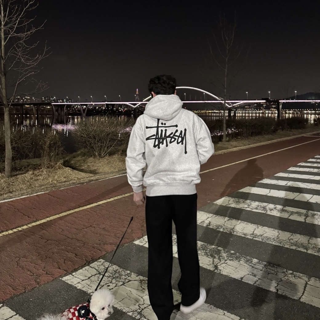 Stussy Basic Stussy Hoodie Ash Heather 2023 착용 스타일
