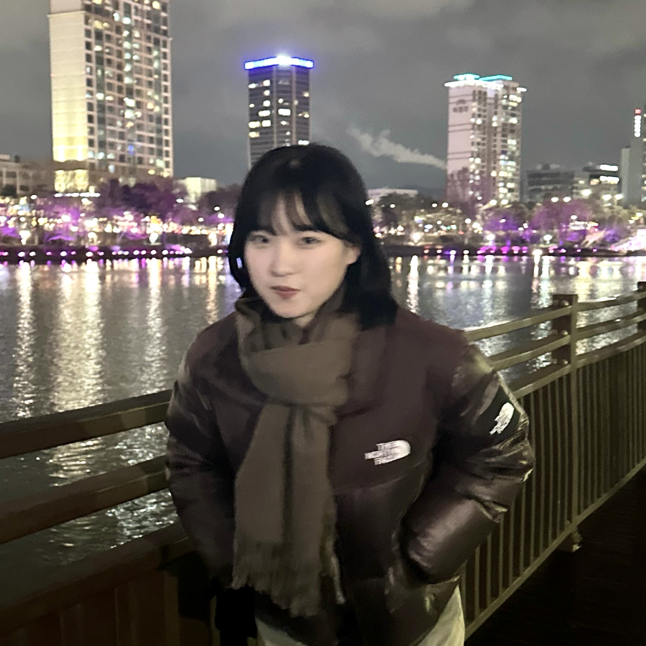 (W) The North Face White Label Novelty Nuptse Down Jacket Cocoa Brown 착용 스타일 - 1