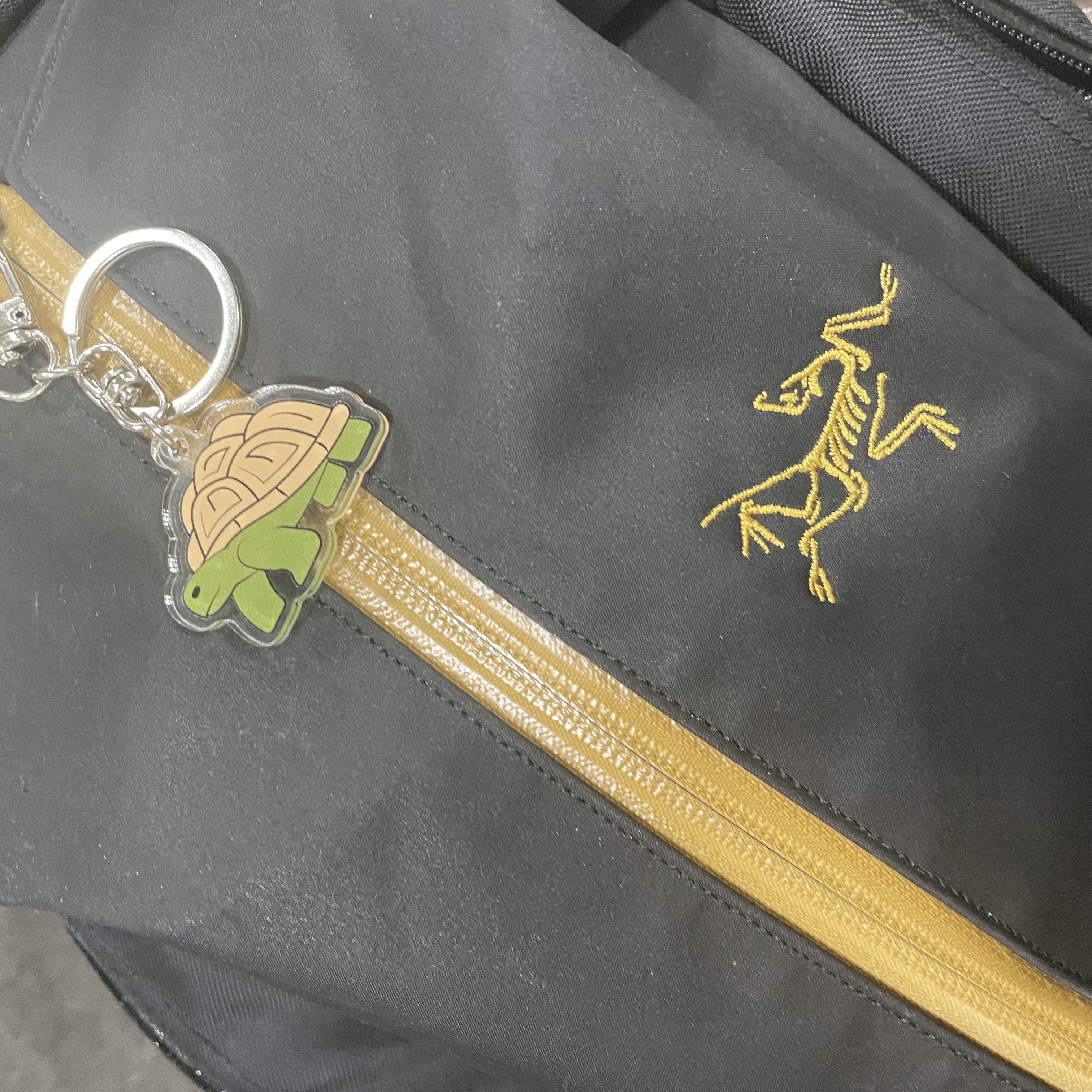 Arc'teryx Arro 22 Backpack 24K Black, Jordan 6 Retro Carmine 2021 착용 스타일 - 2