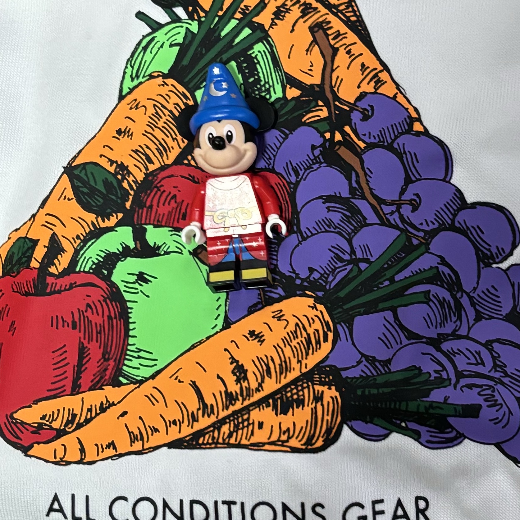 Nike ACG Fruit and Veggies T-Shirt - Asia 착용 스타일