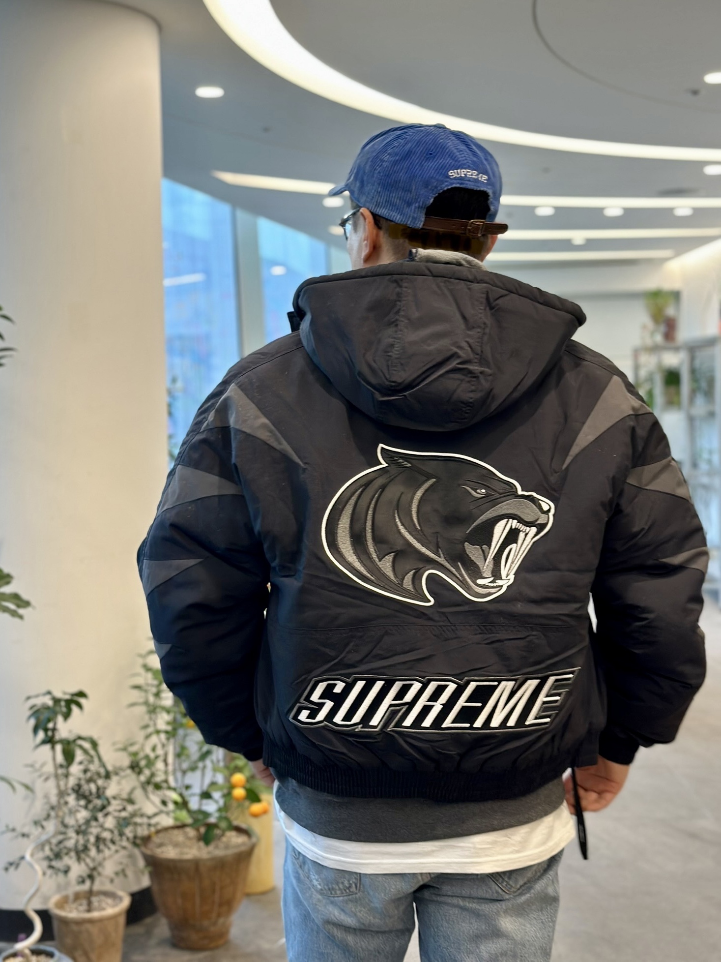Supreme Wildcat Sideline Puffer Jacket Black - 23FW, Supreme Corduroy S Logo 6-Panel Royal - 23FW 착용 스타일