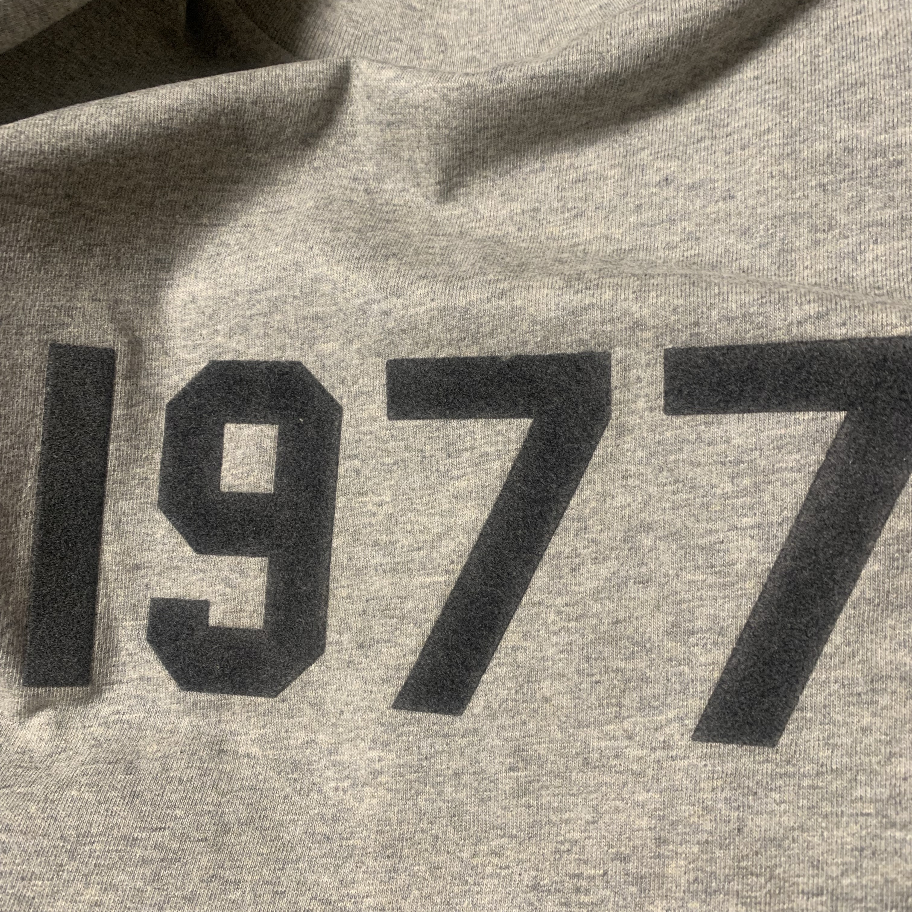 Essentials 1977 T-Shirt Dark Oatmeal - 22SS 착용 스타일