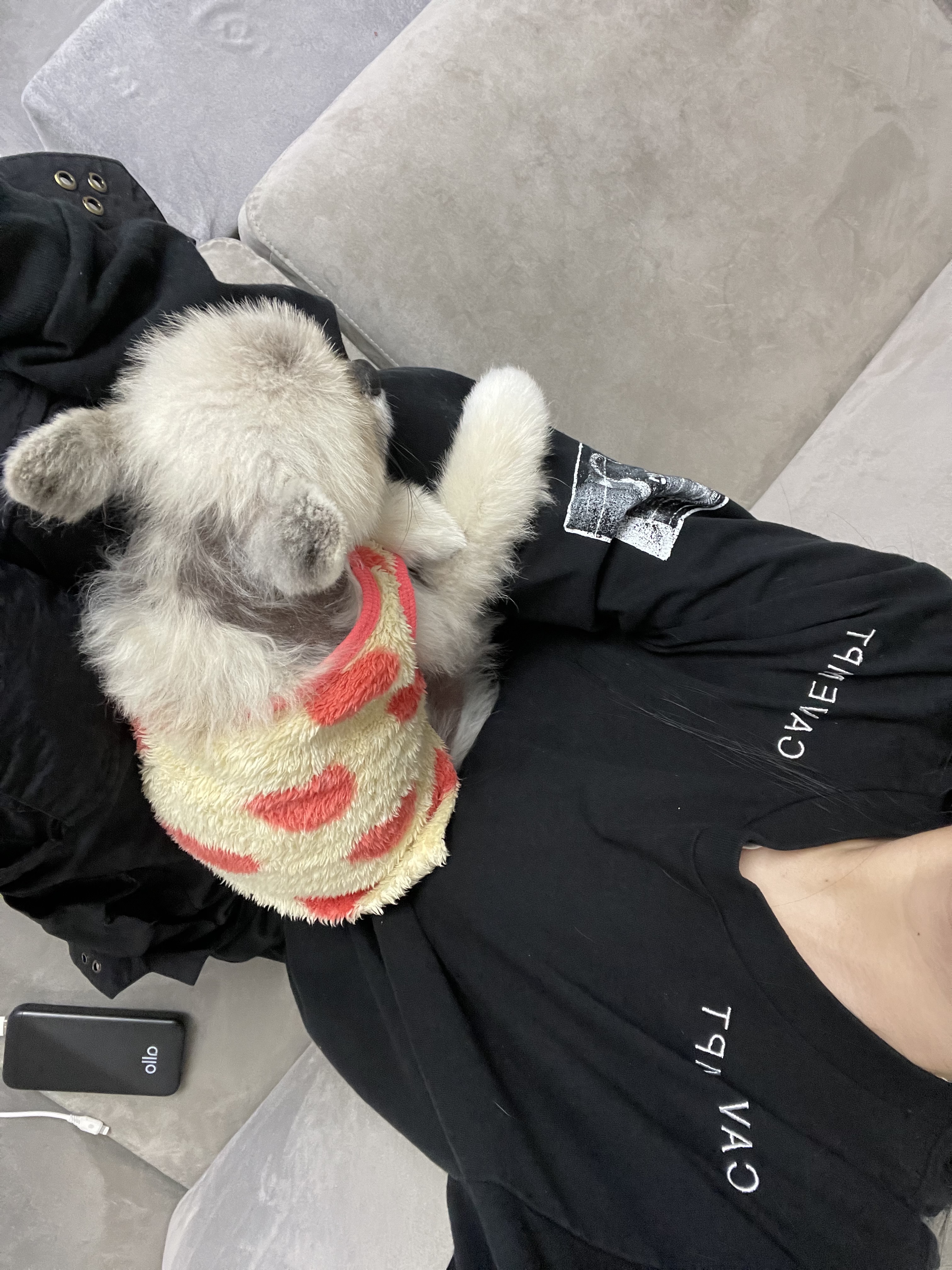 KREAM 스타일 - 2