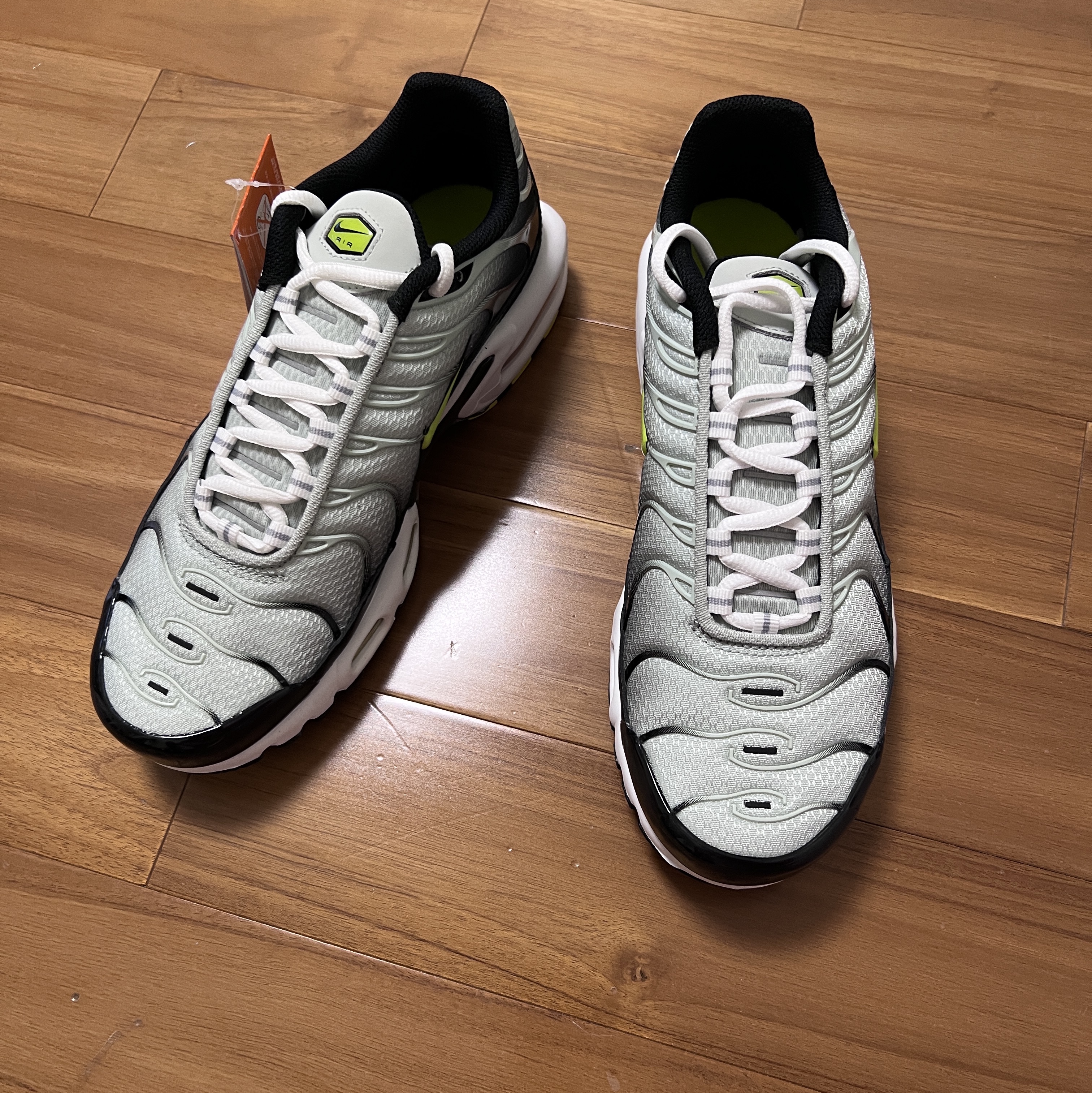 Nike Air Max Plus Black Bright Cactus 착용 스타일