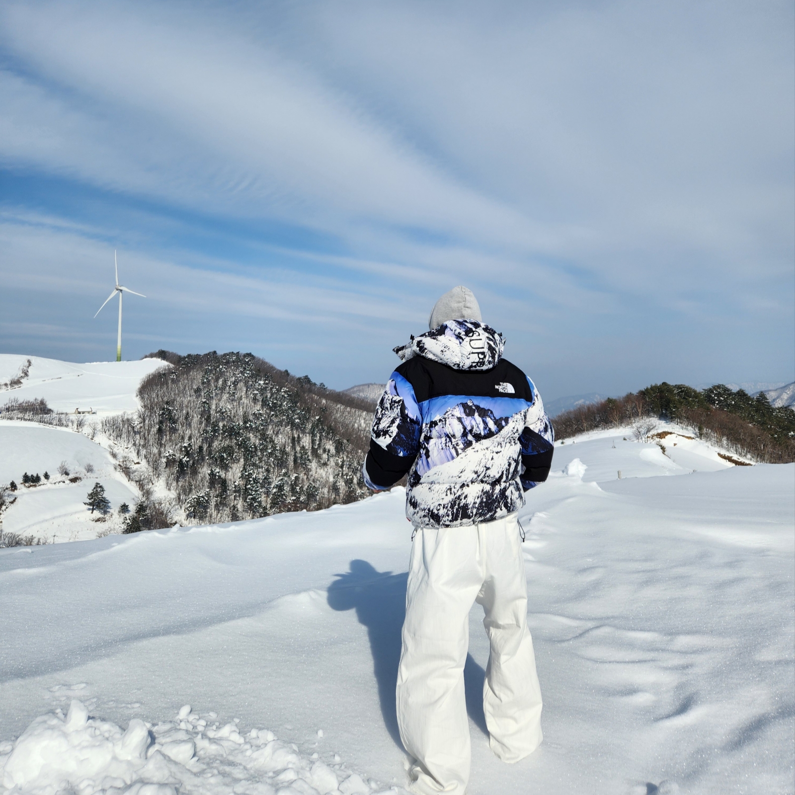 Supreme x The North Face Mountain Baltoro Jacket Blue White - 17FW 착용 스타일 - 2