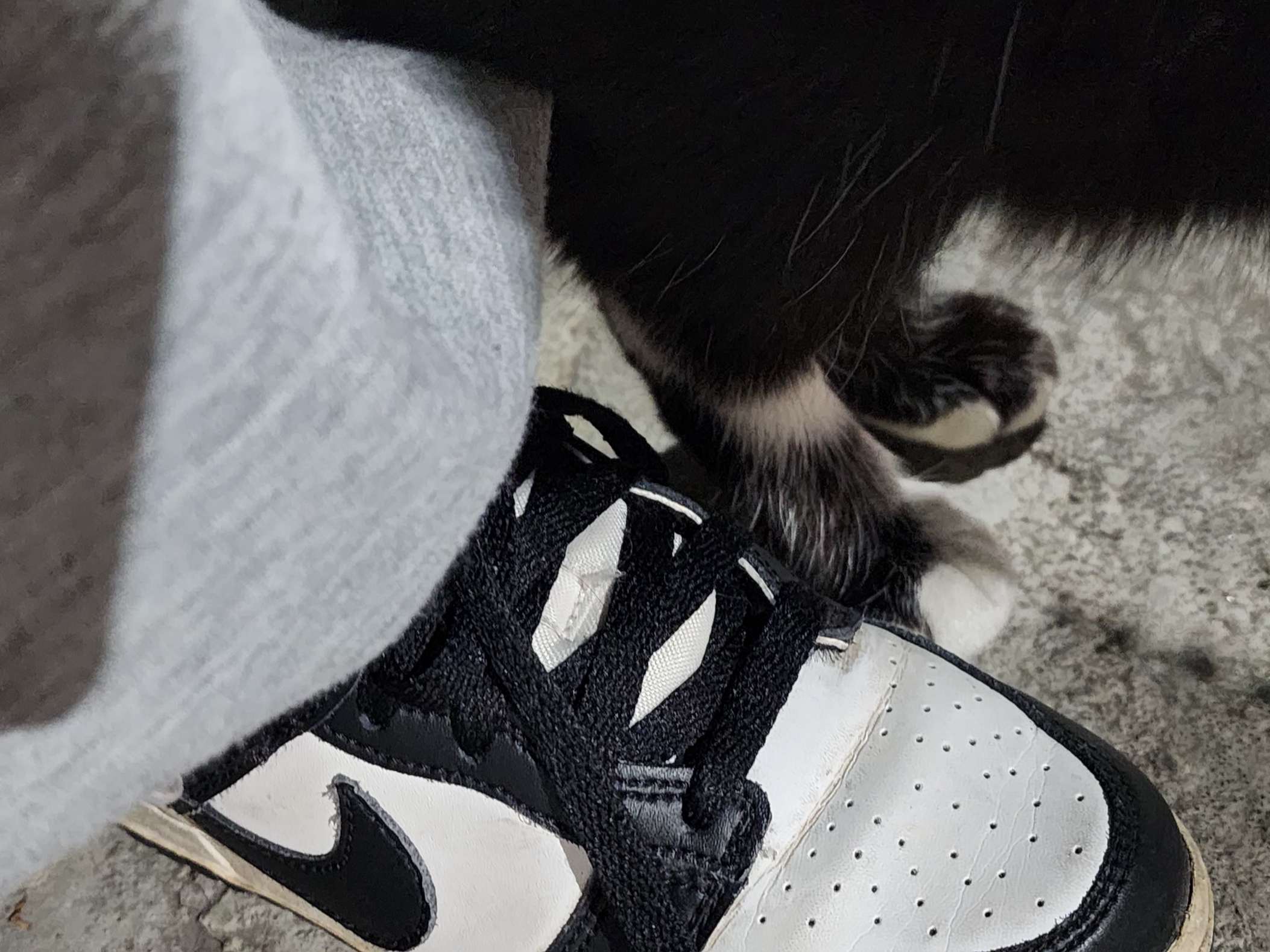 (W) Nike Dunk Low Black, Nike Dunk Low Retro Black 착용 스타일 - 1