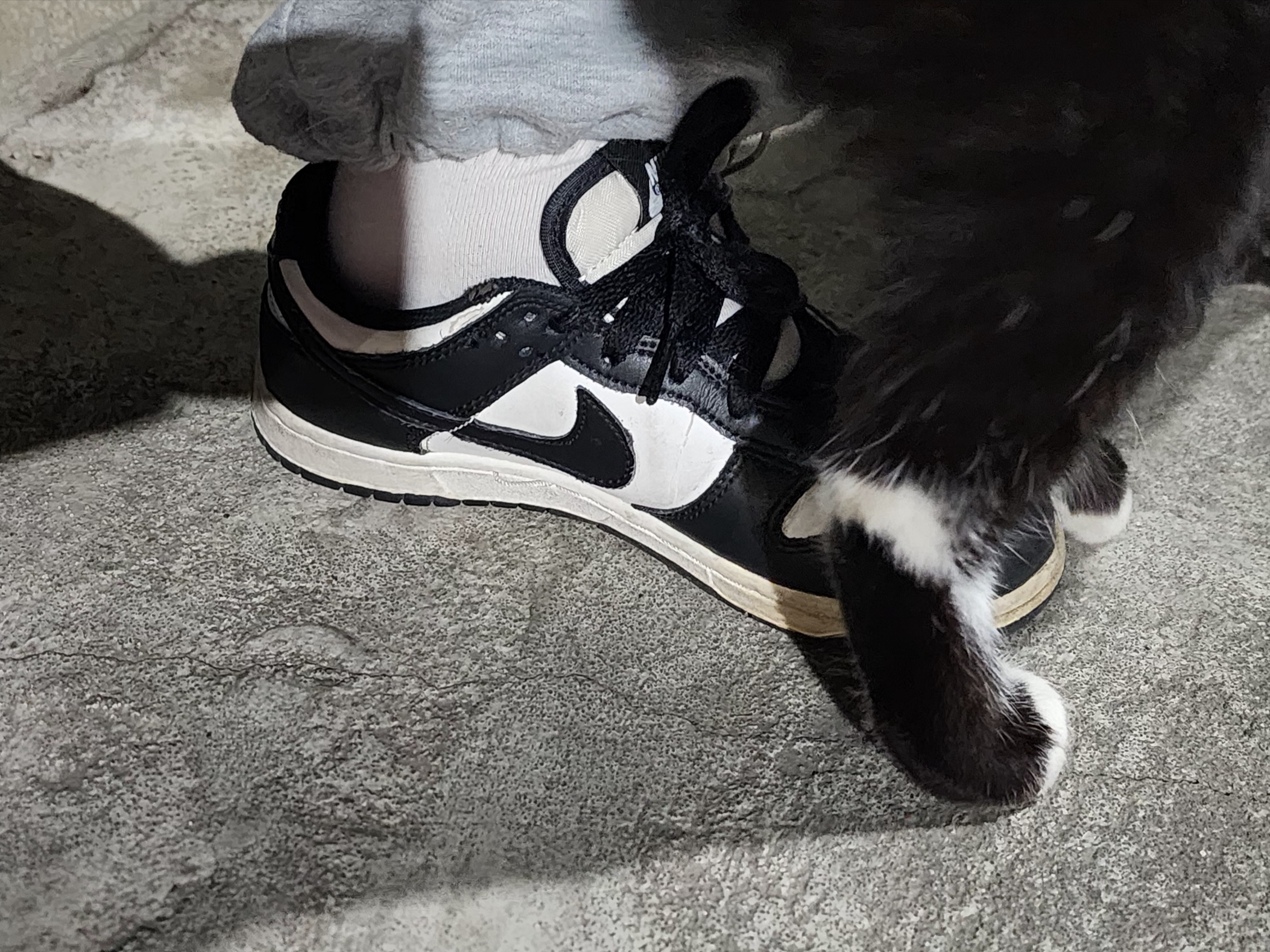 (W) Nike Dunk Low Black, Nike Dunk Low Retro Black 착용 스타일 - 2