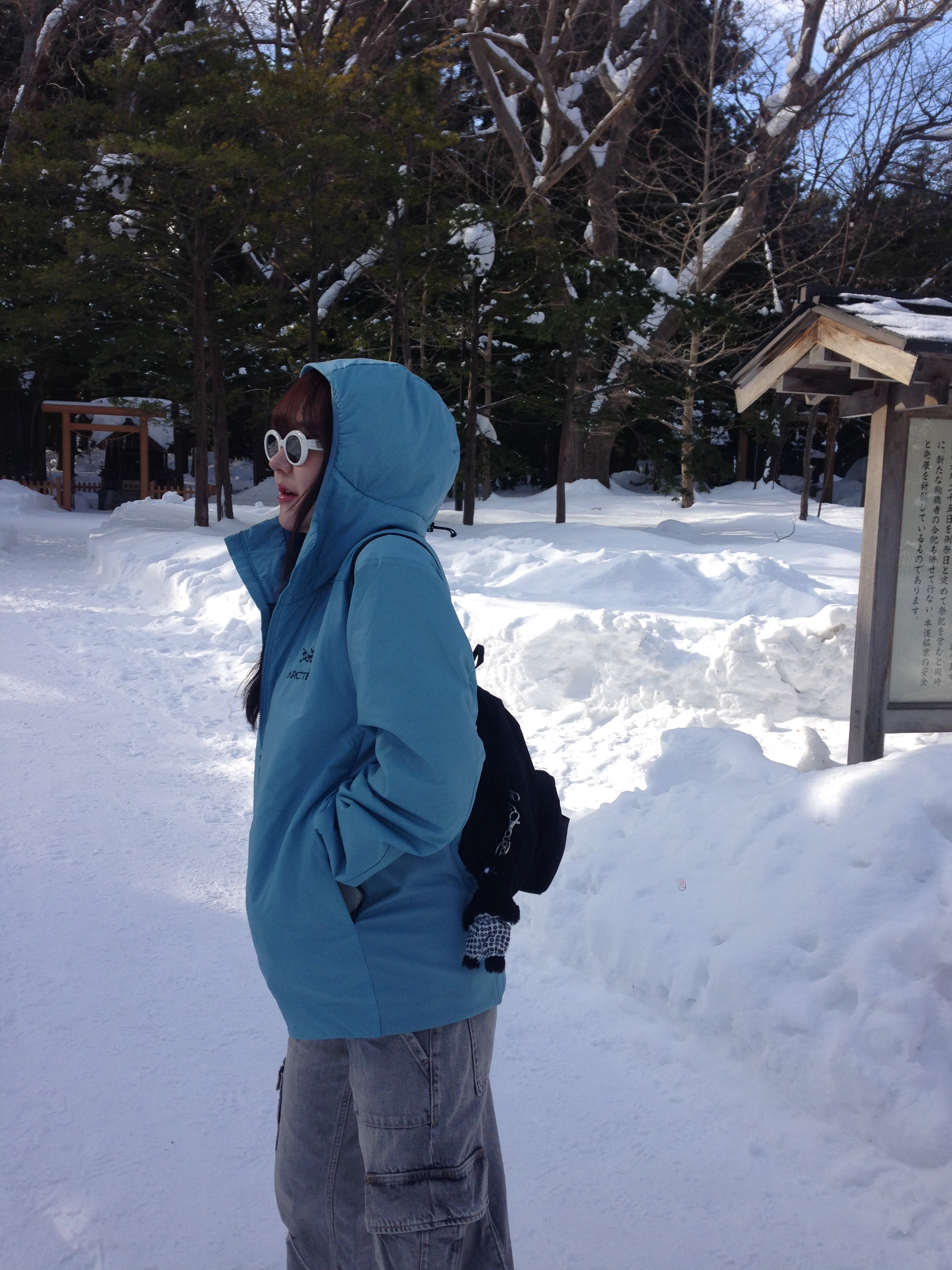Arc'teryx Atom LT Hoody Solace, Jansport Half Pint Mini Backpack Black 착용 스타일